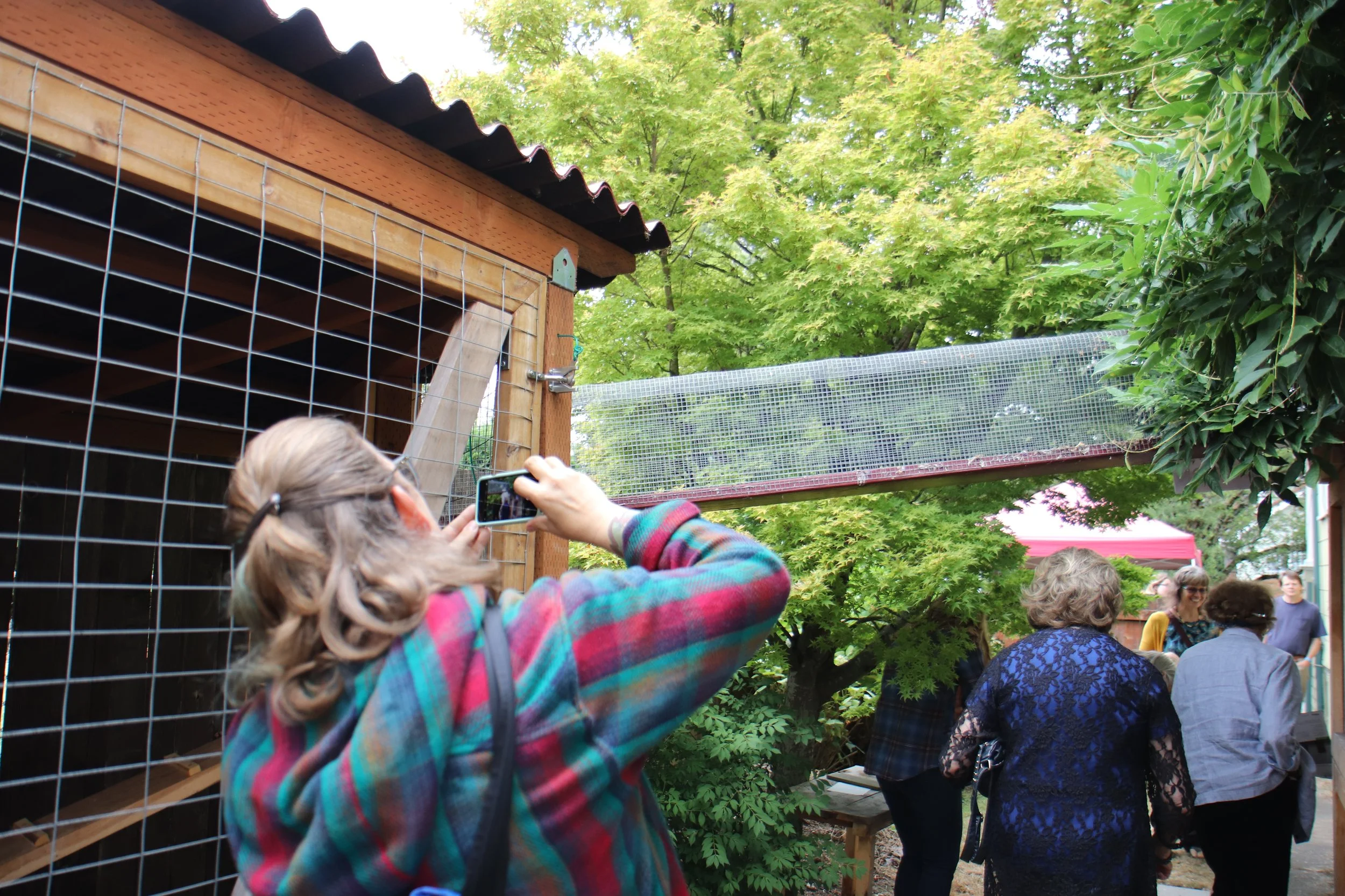 Catio Tour 19 - KK (49).JPG