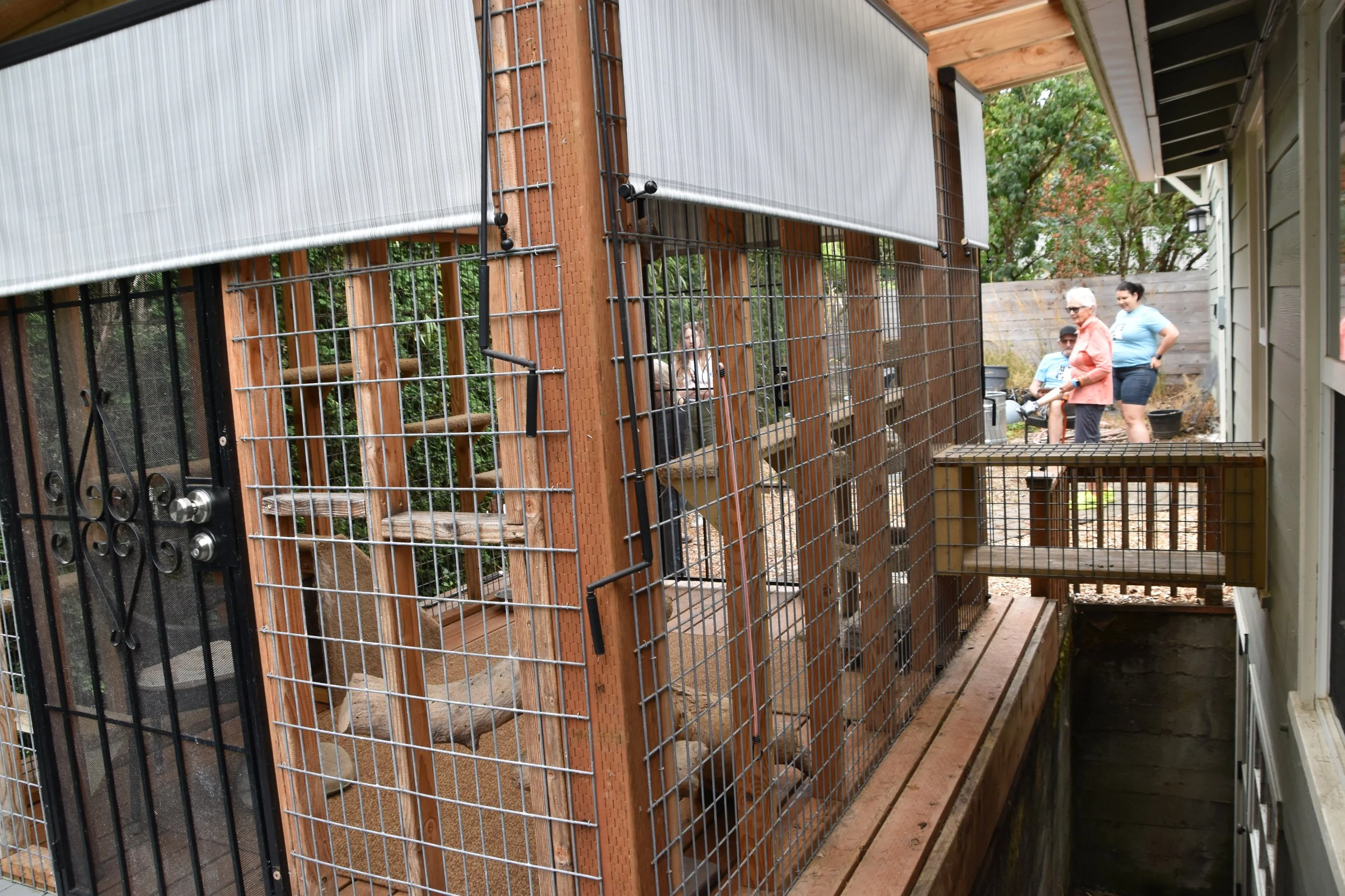 Copy of DSC_0116.JPG