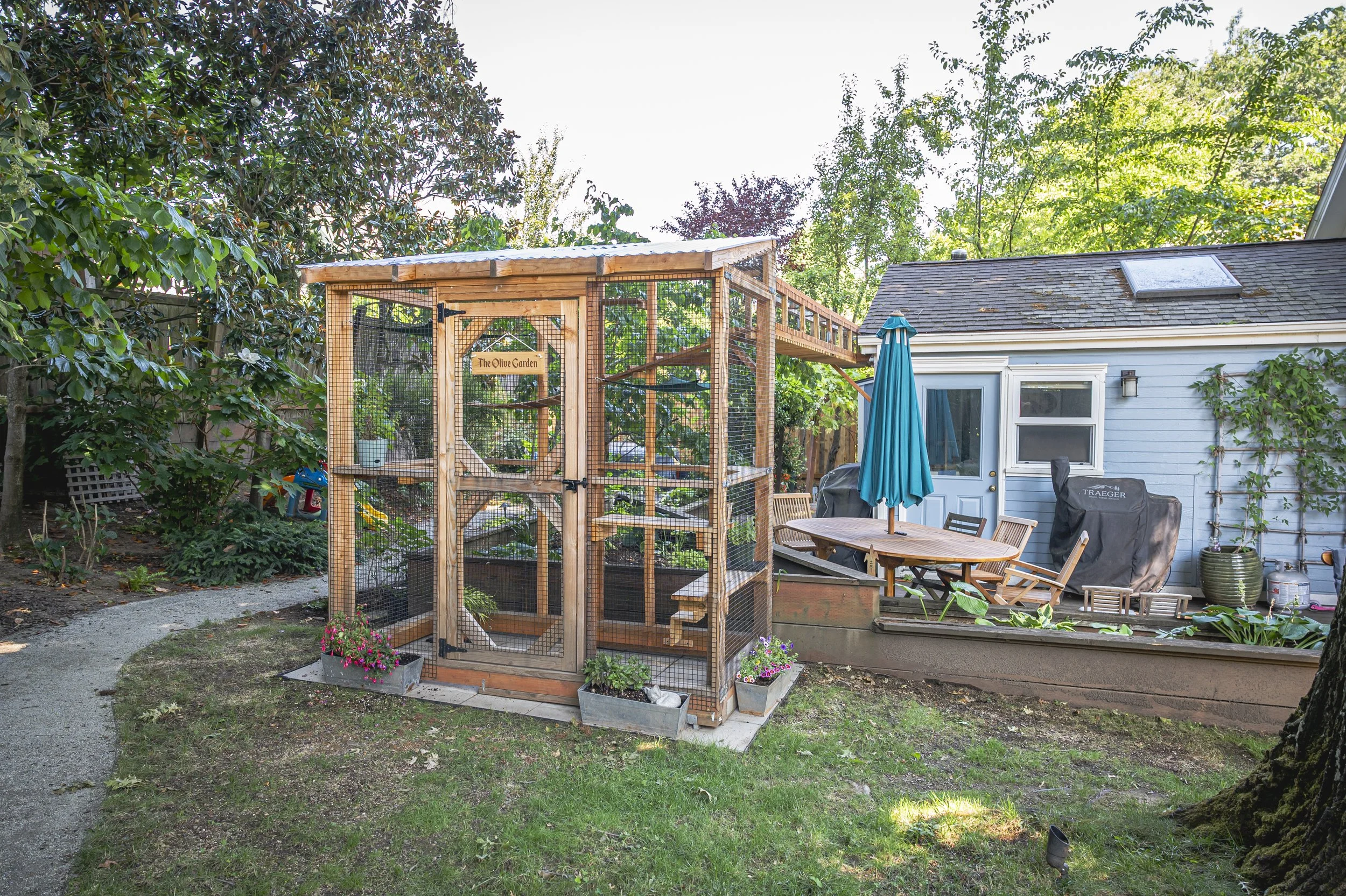 Catio 8: The Olive Garden