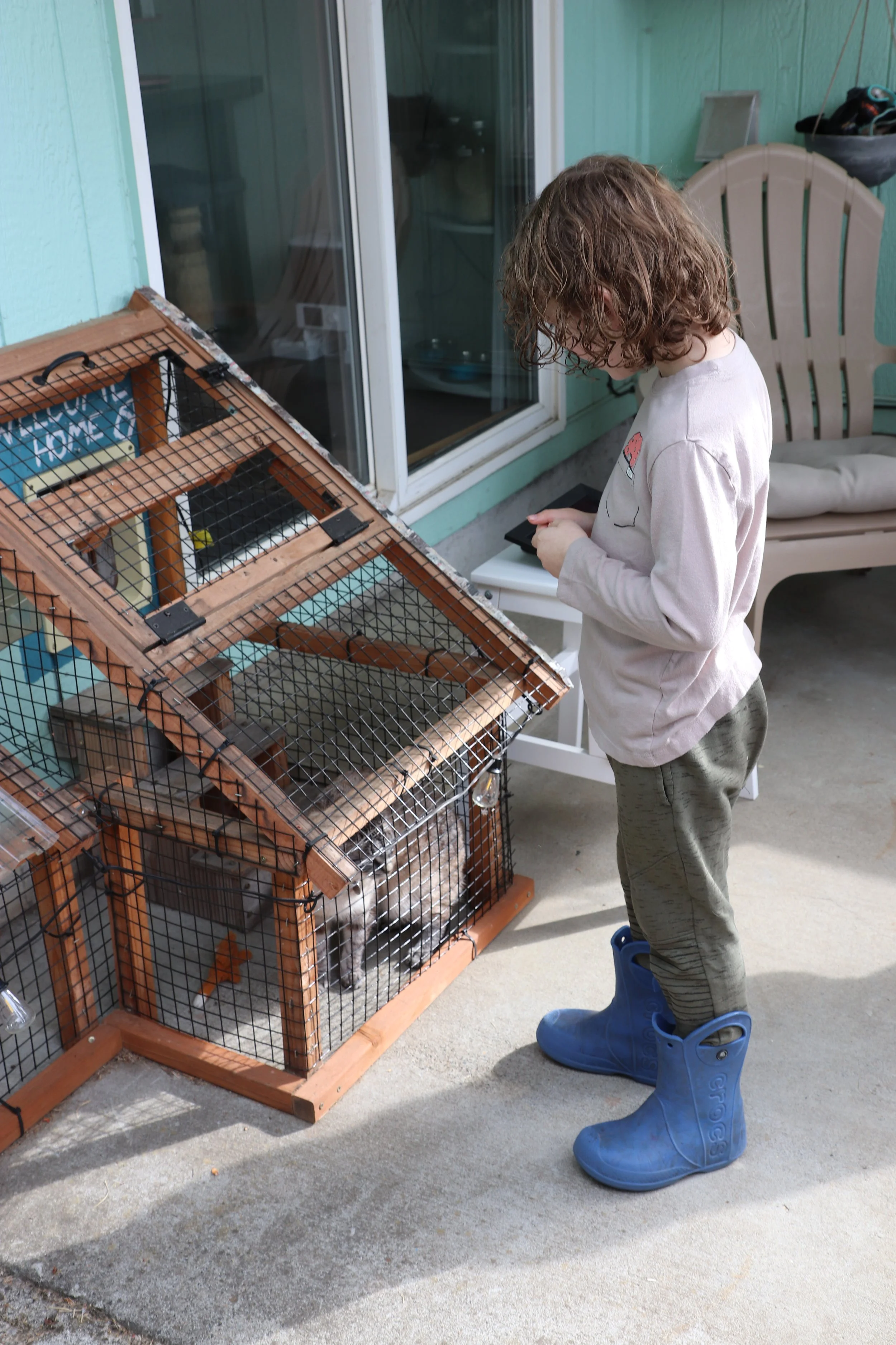 Catio Tour 6 Ali Berman.JPG