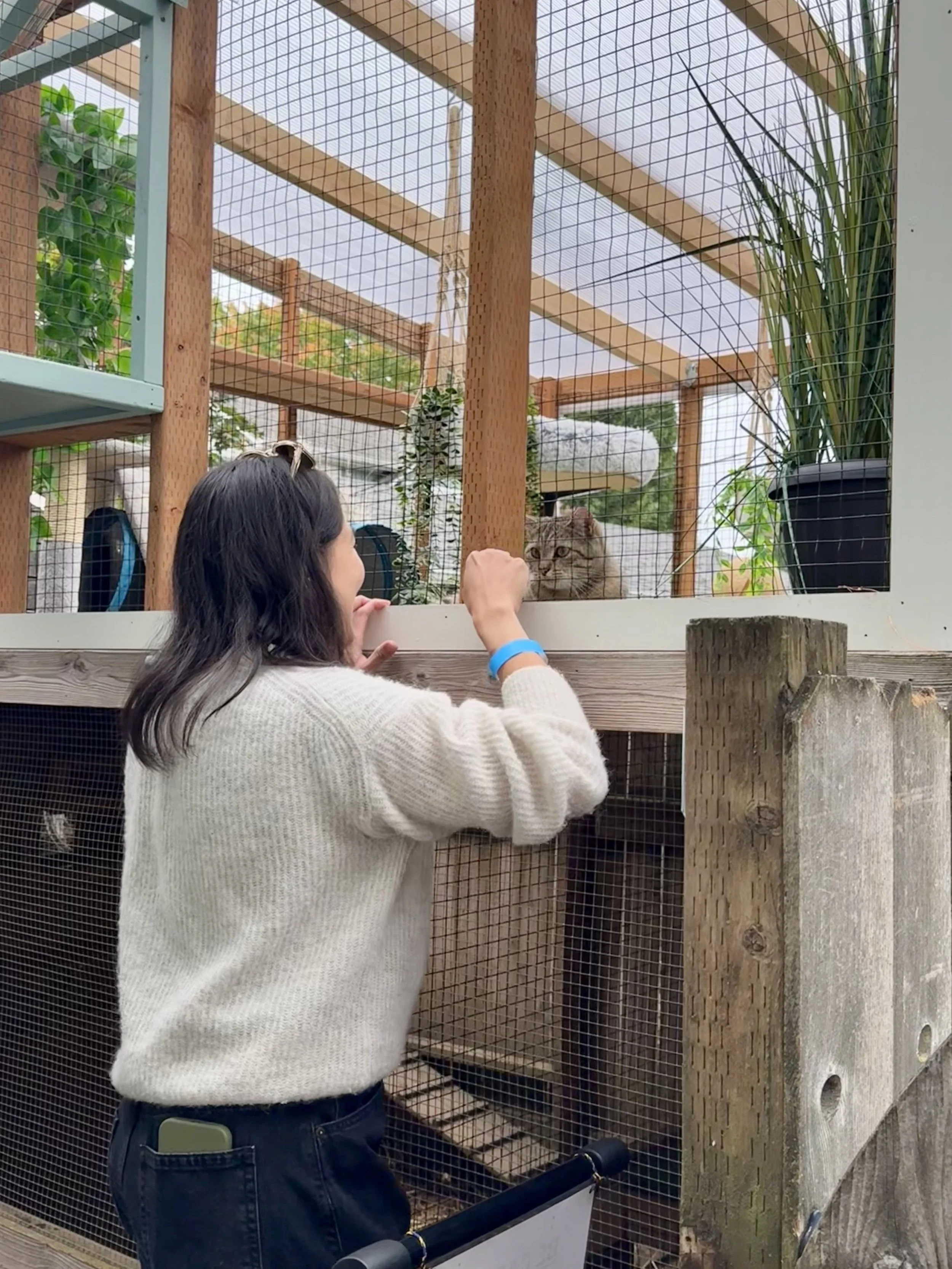 Catio Tour Marnie Mcphee_8318.jpg
