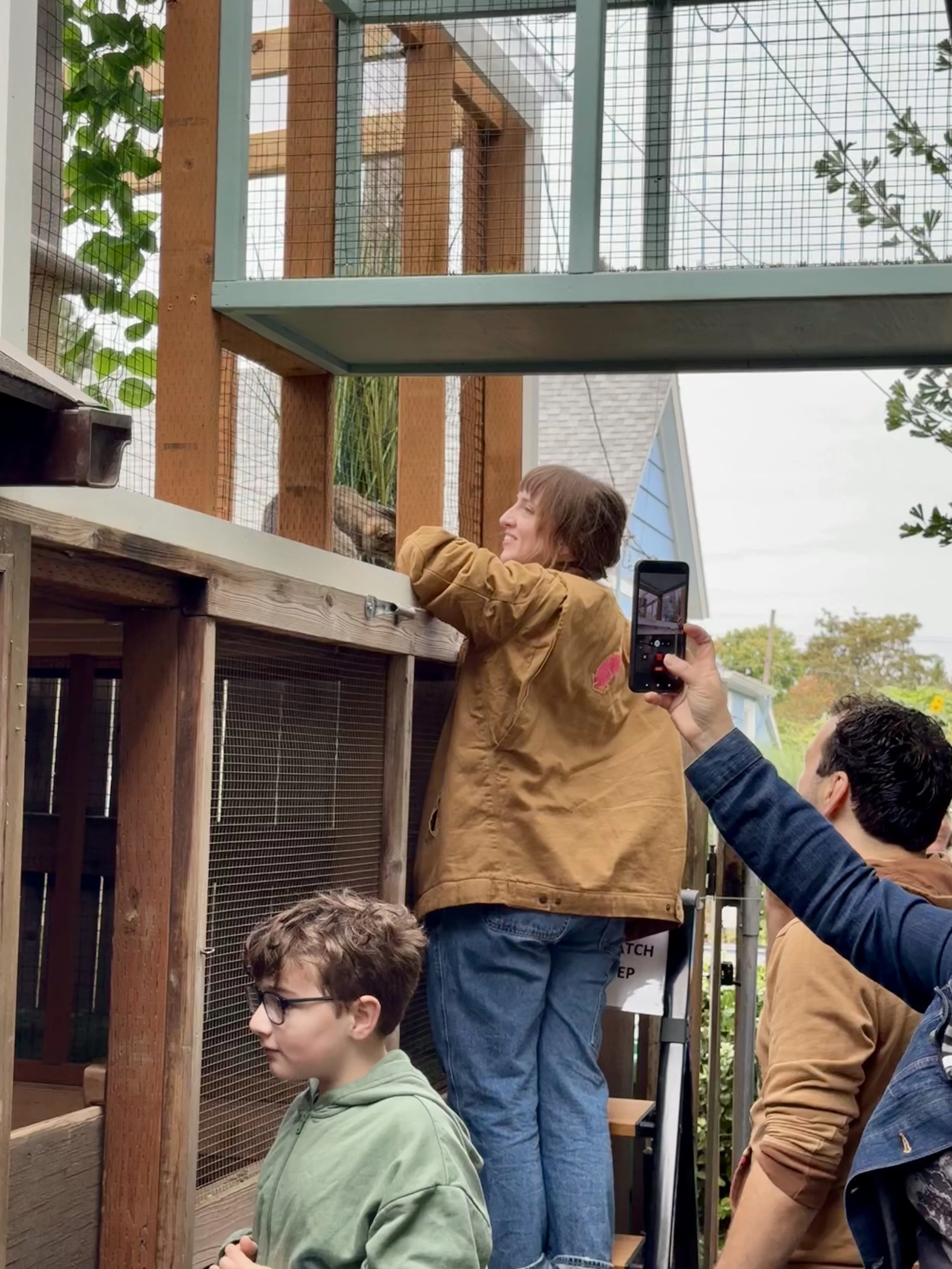 Catio Tour Marnie Mcphee_8335.jpg