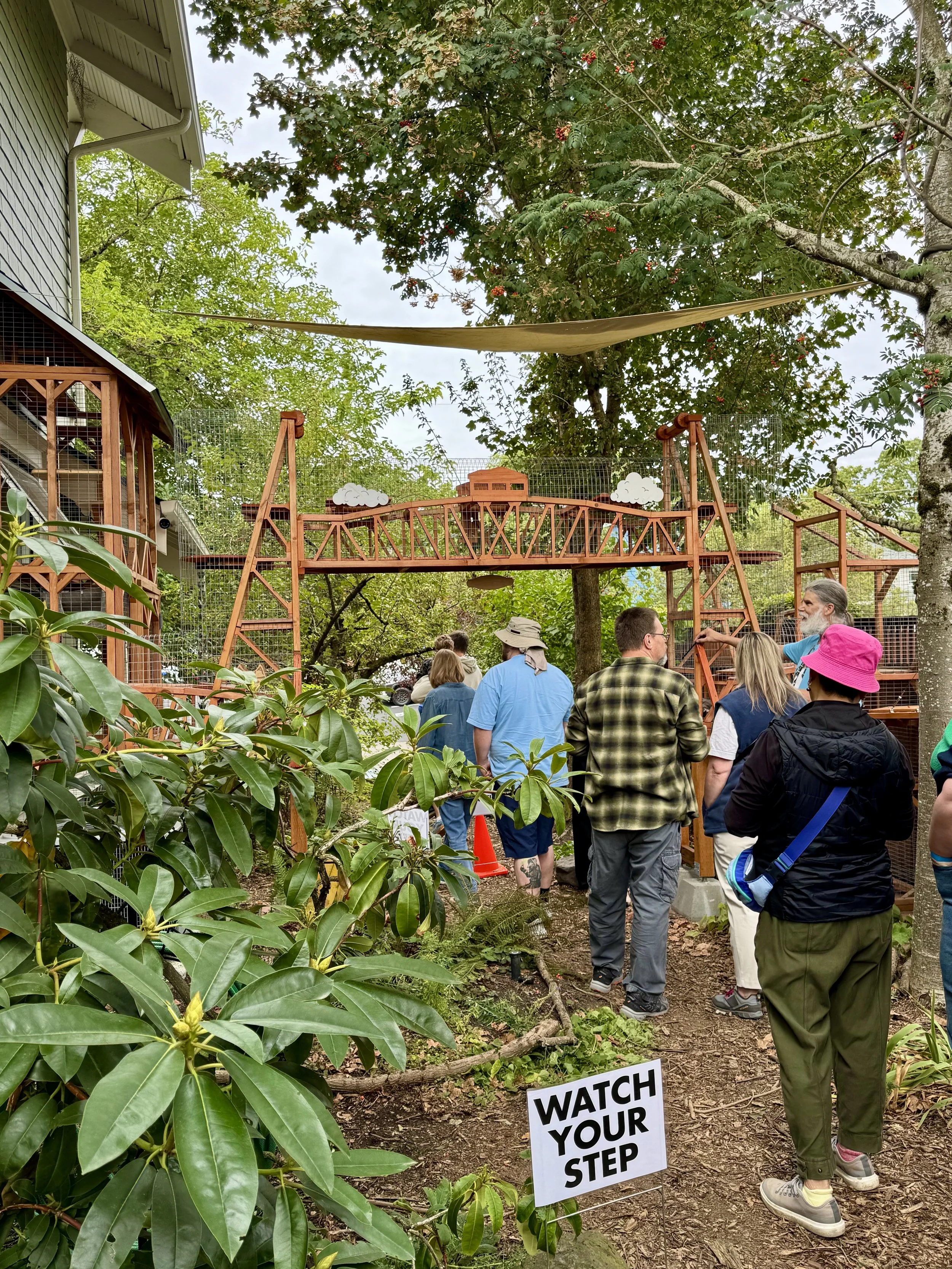 Catio Tour Marnie Mcphee_8348.jpg