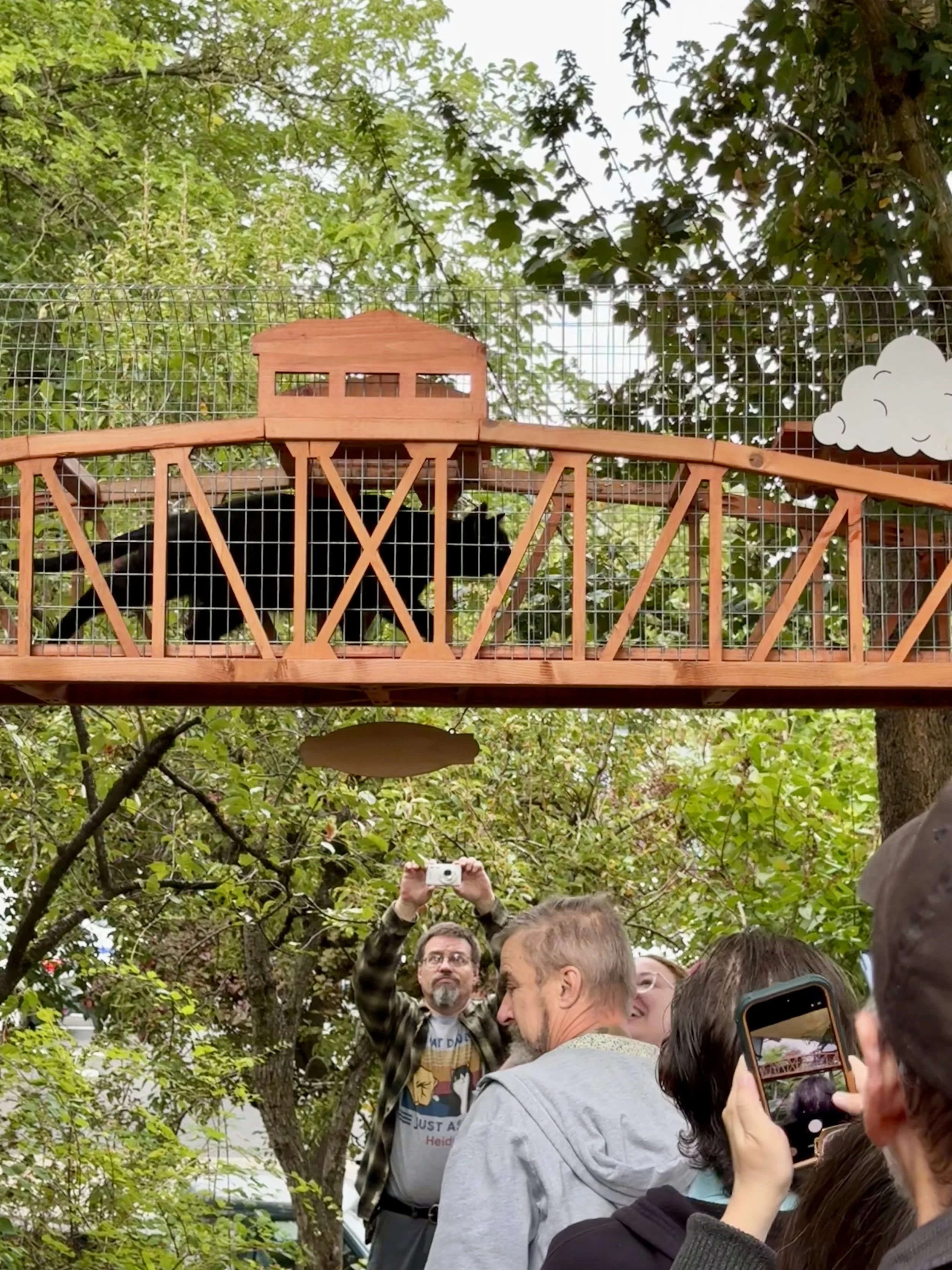 Catio Tour Marnie Mcphee_8356.jpg