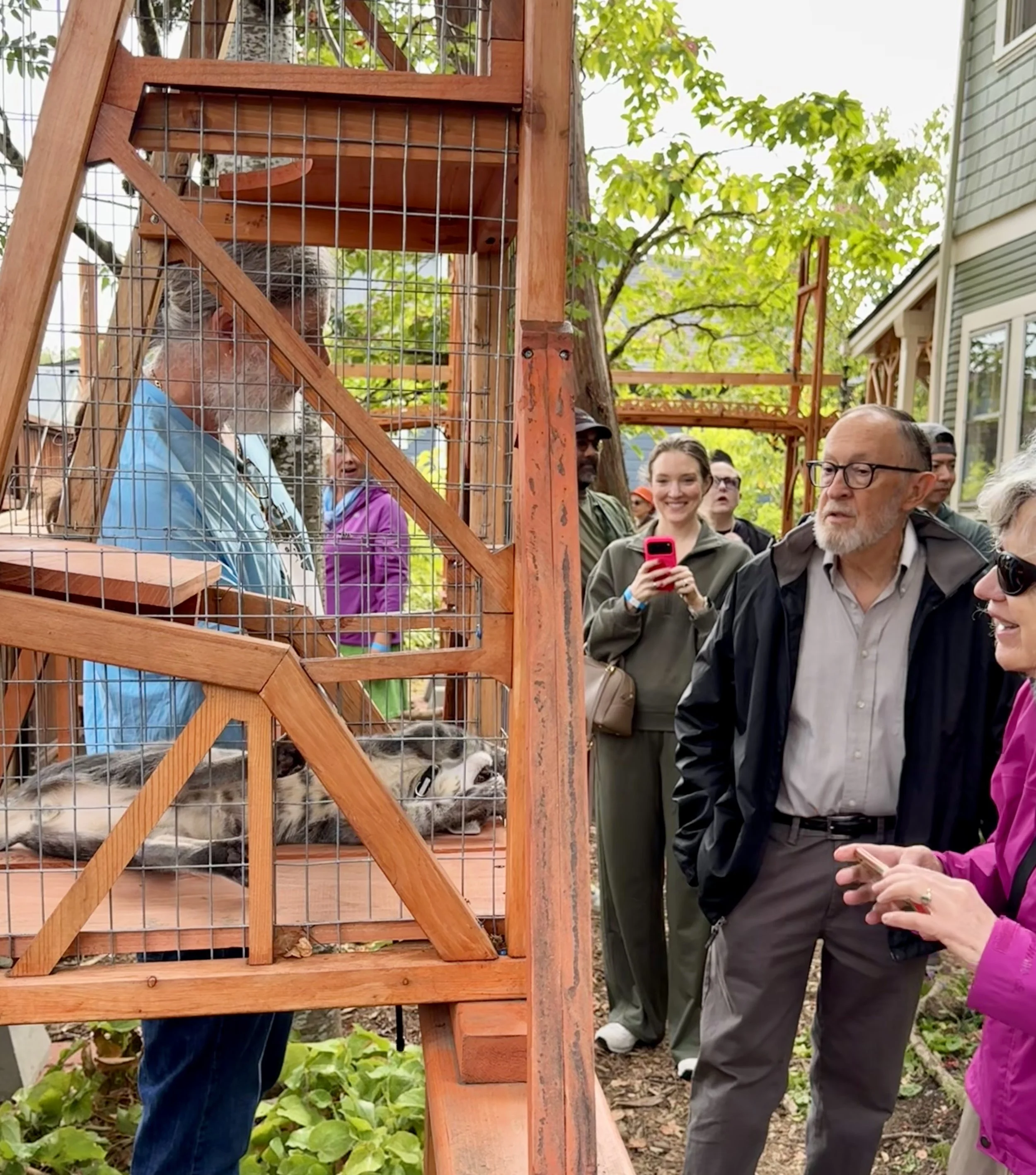 Catio Tour Marnie Mcphee_8379.jpg