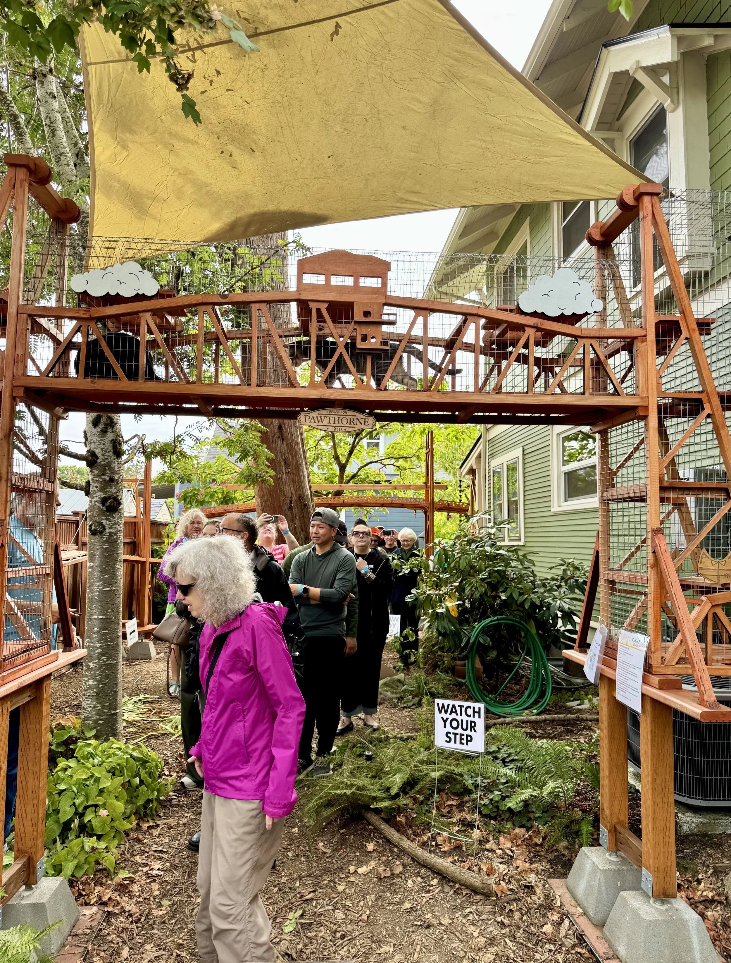 Catio Tour Marnie Mcphee_8385.jpg