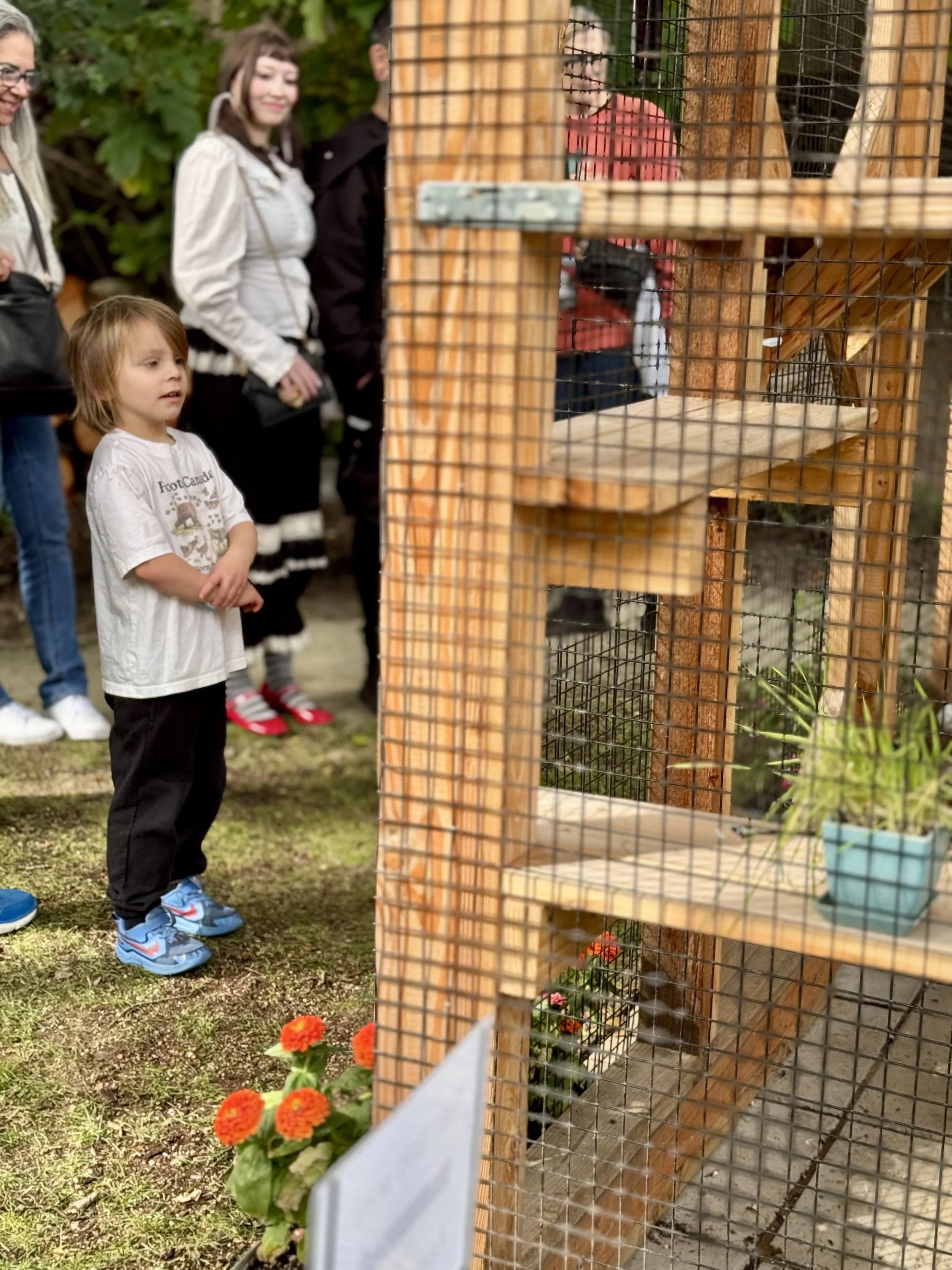 Catio Tour Marnie Mcphee_8407.jpg