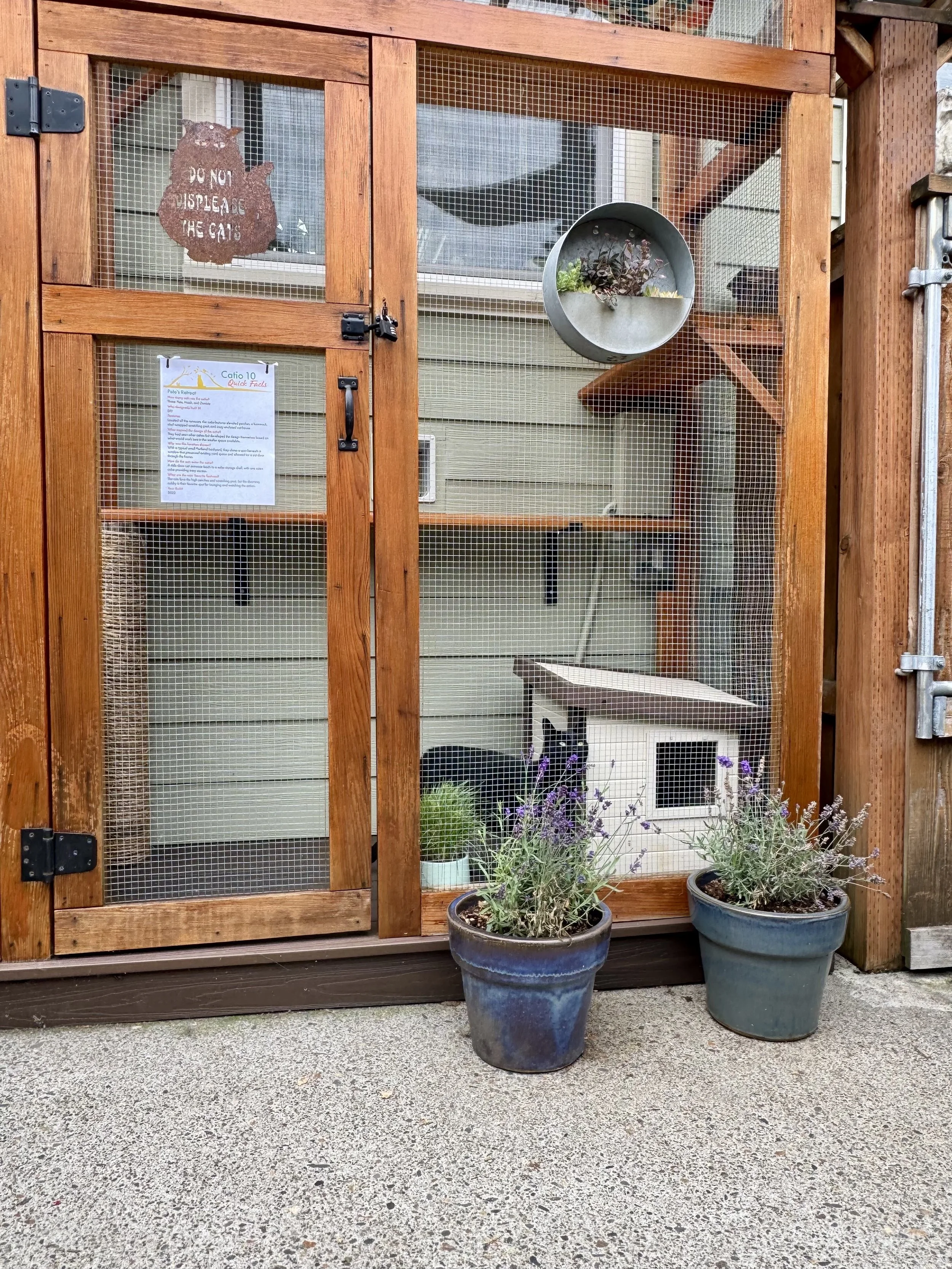 Catio Tour Marnie Mcphee_8452.jpg