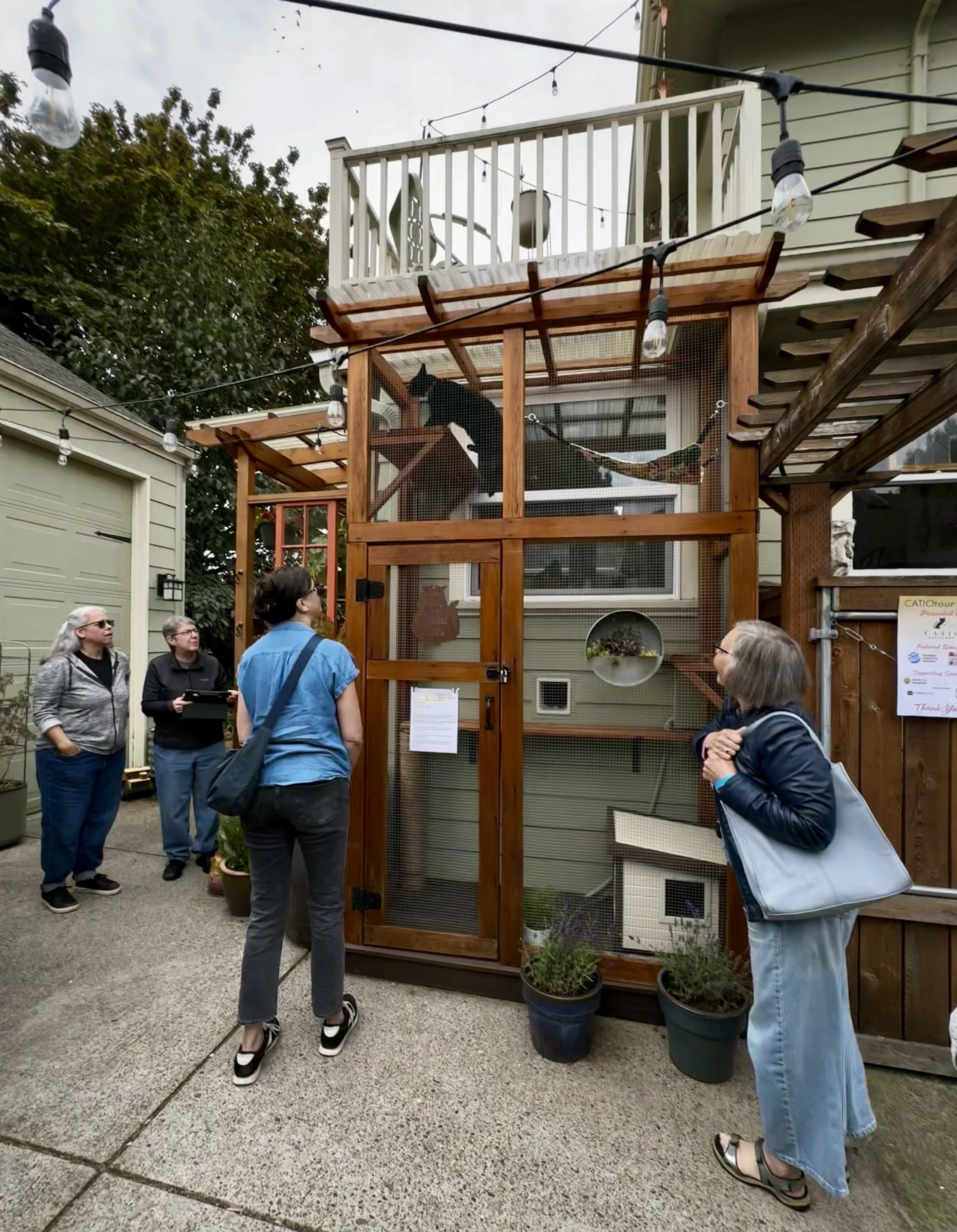 Catio Tour Marnie Mcphee_8455.jpg