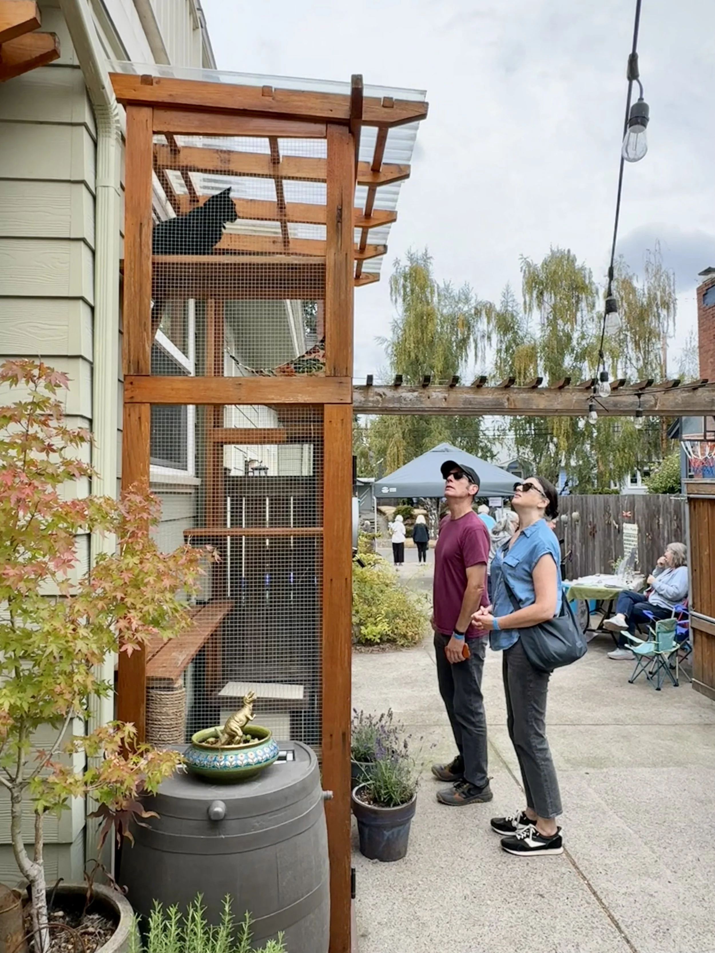 Catio Tour Marnie Mcphee_8466.jpg