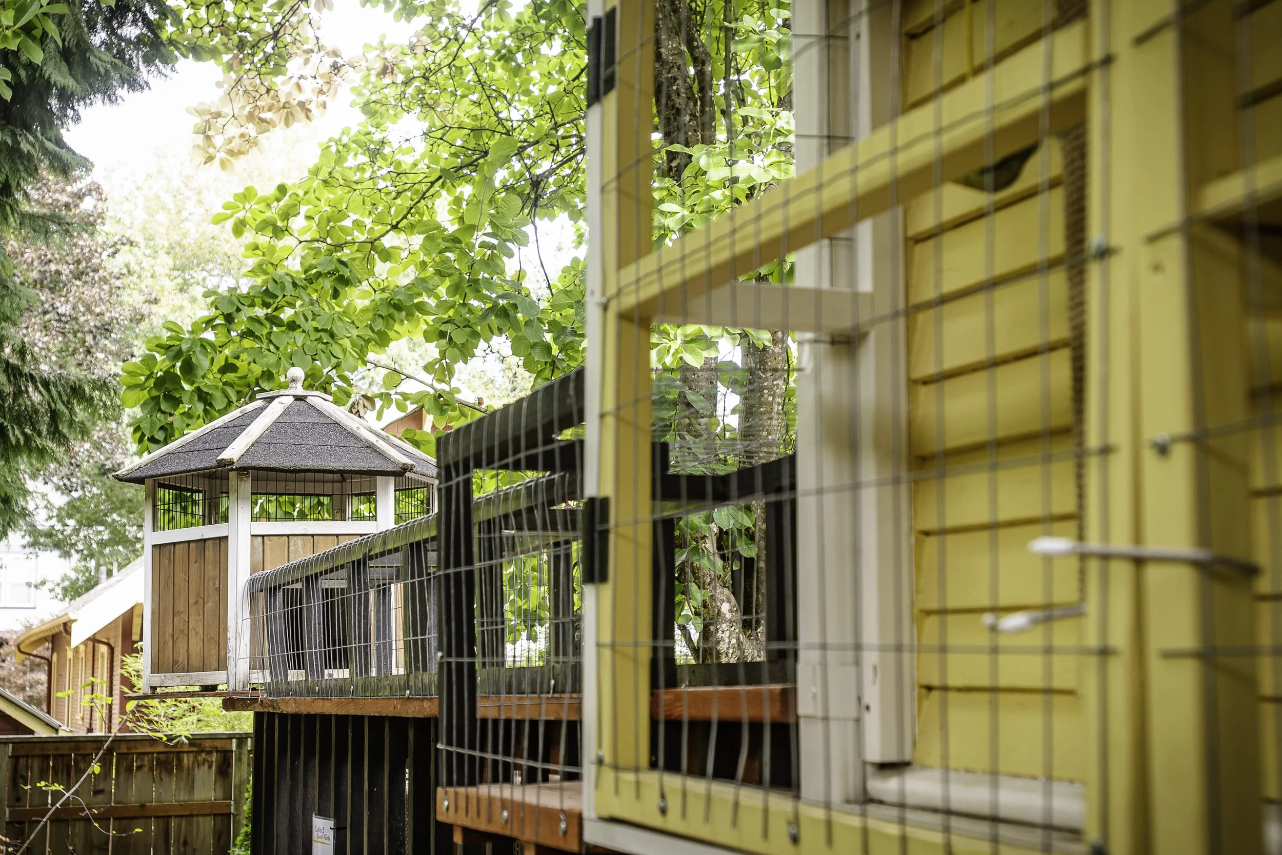 ValitaCatio,Walkway,andGazebo.jpg