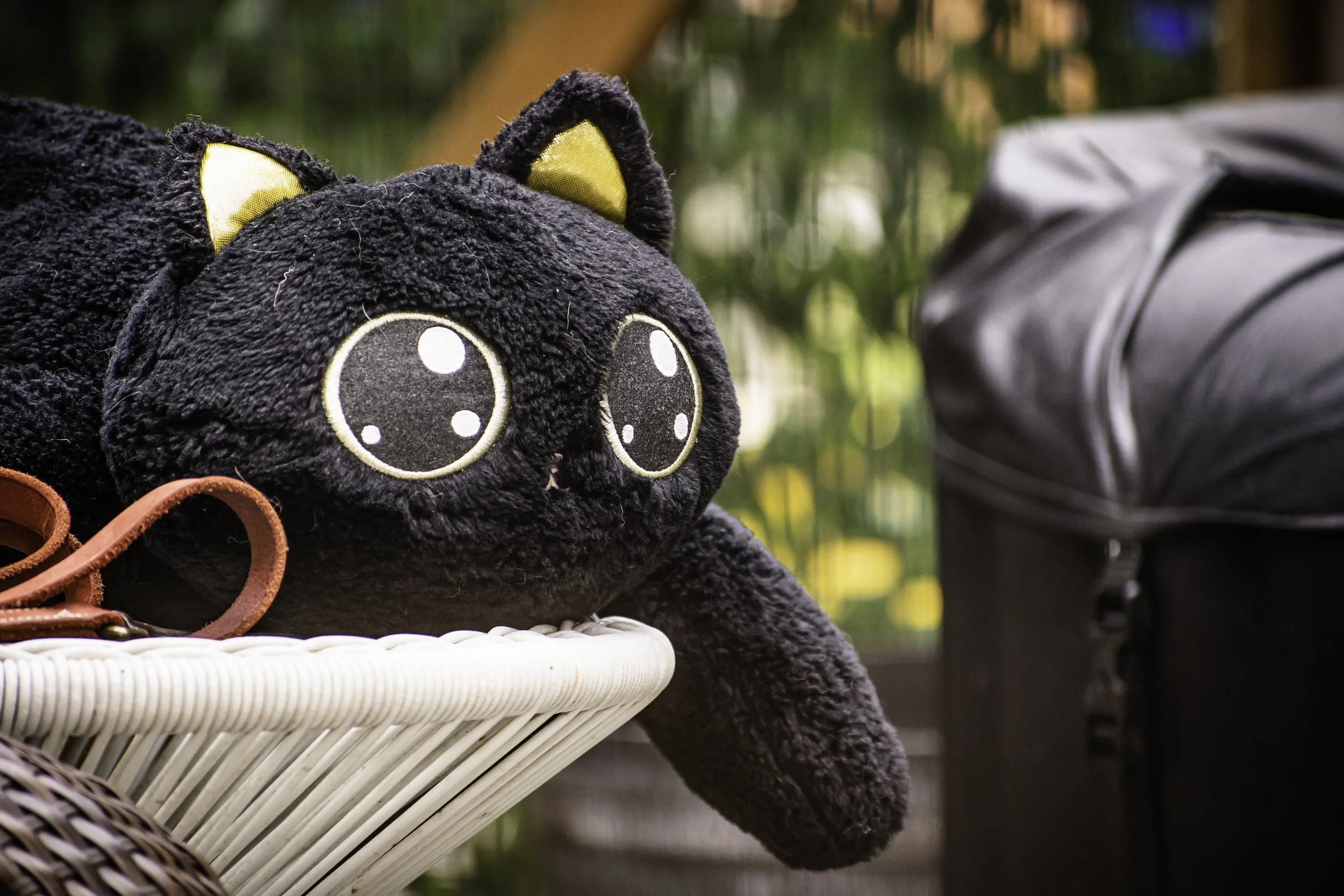 ValitaCatStuffy.jpg