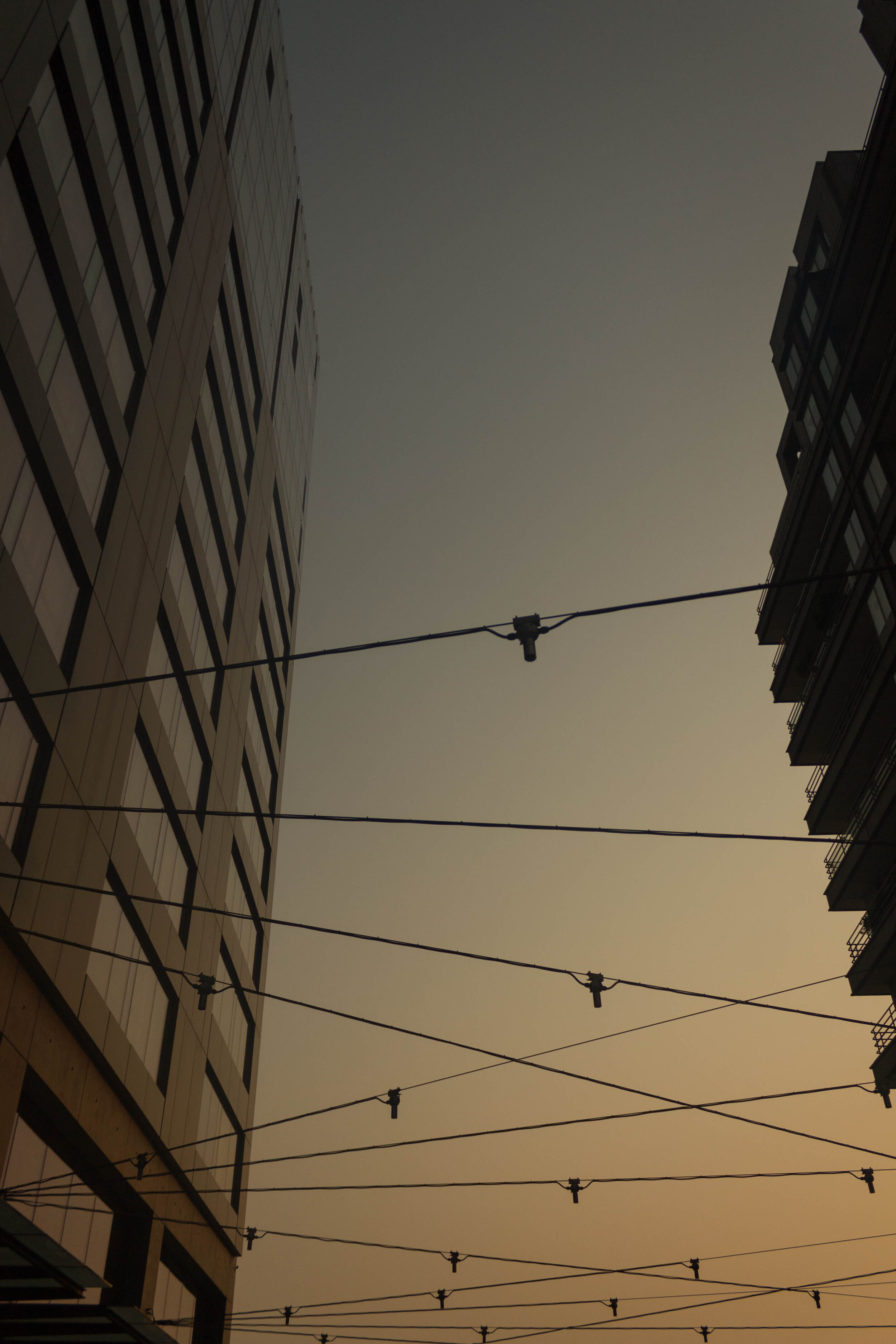 untitled-290-2.jpg