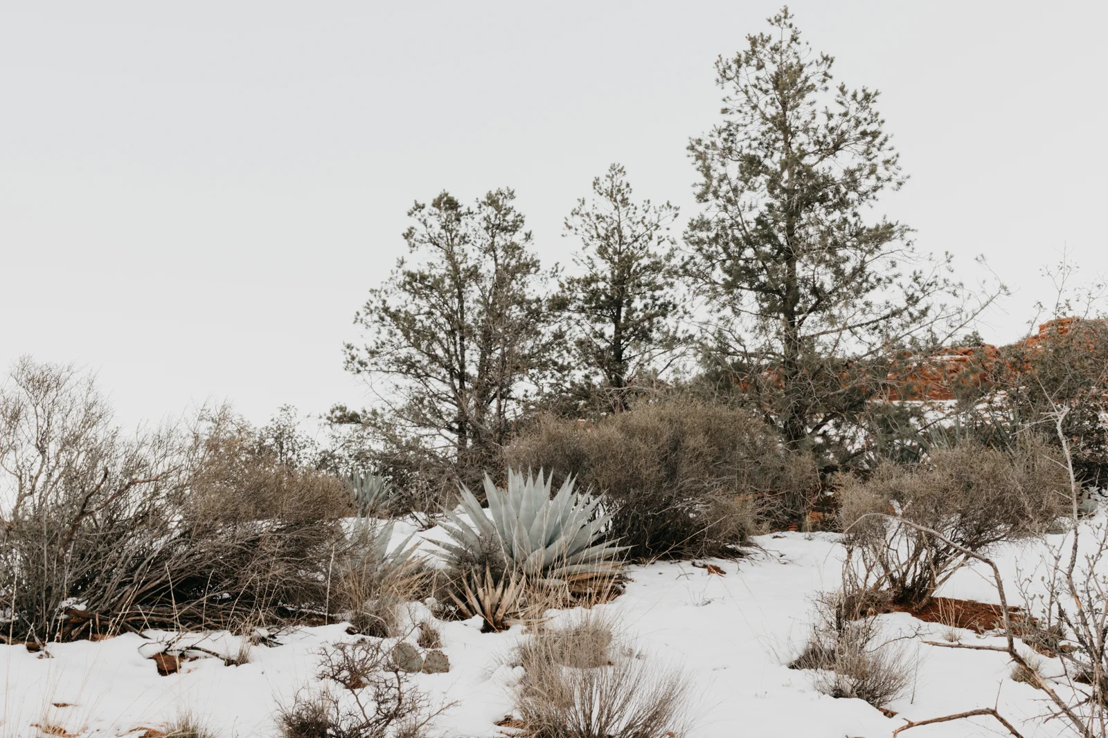 Tim Chow_Sedona_Small_006.jpg