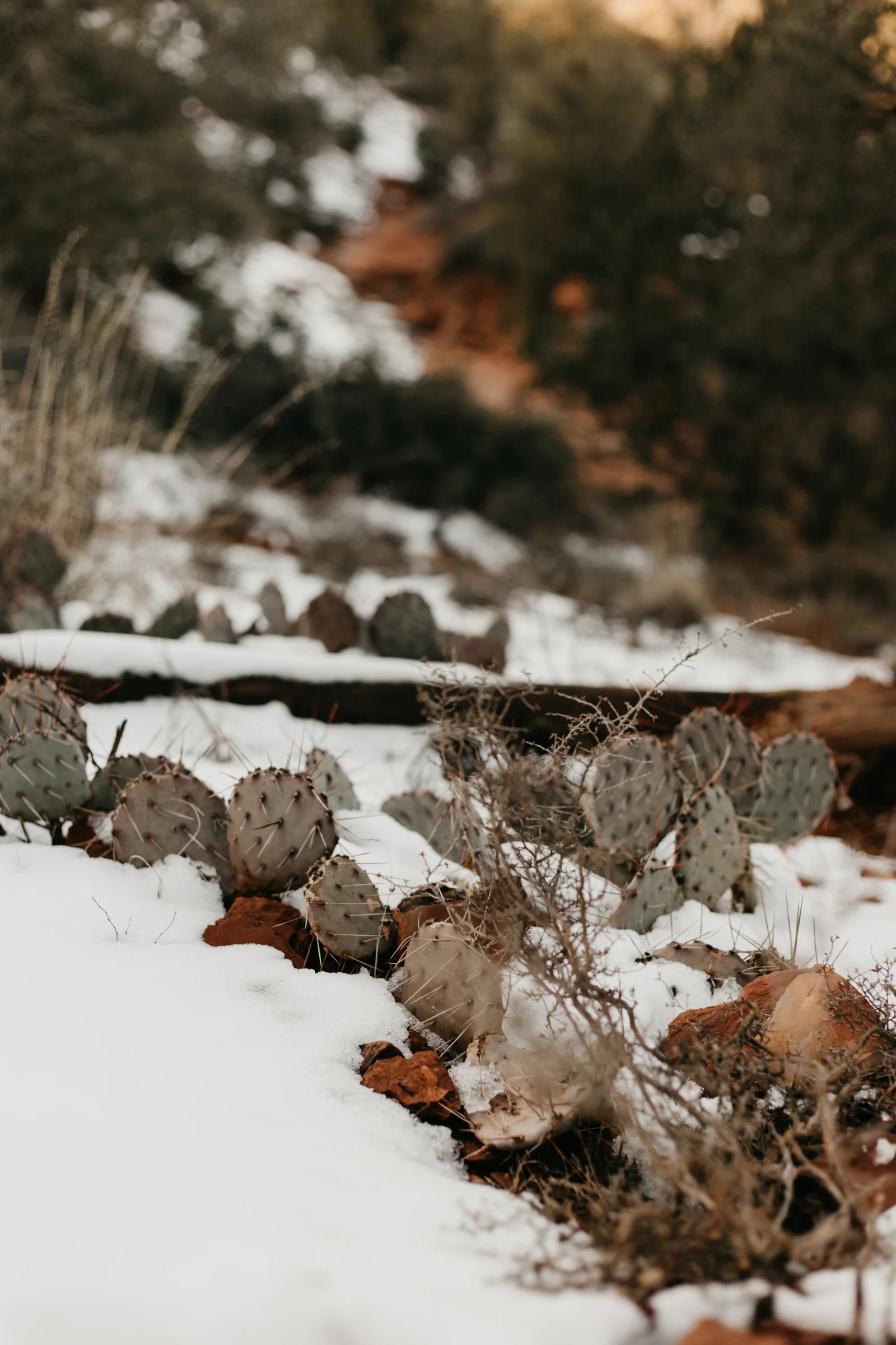 Tim Chow_Sedona_Small_033.jpg