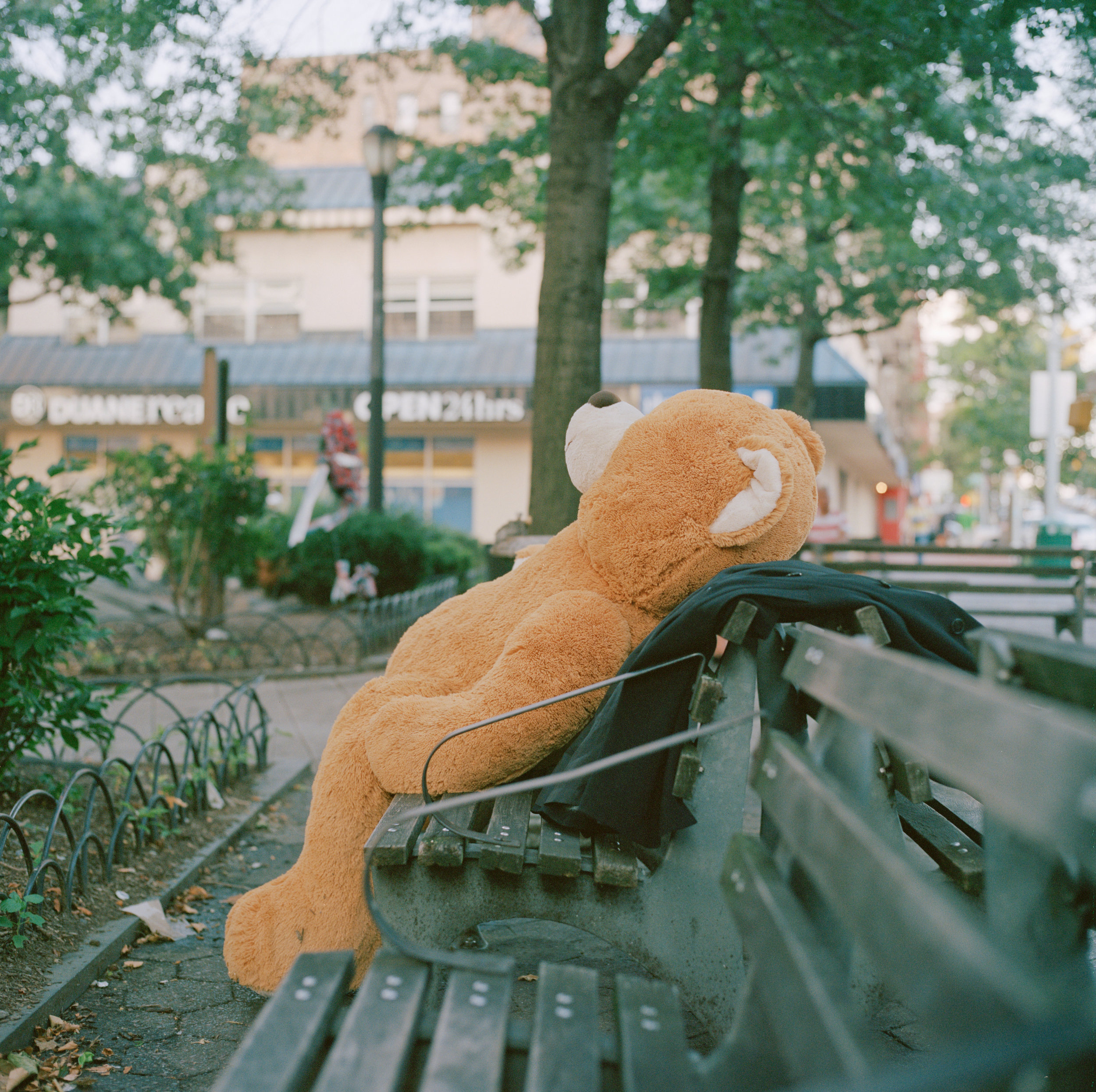 11 2.jpg