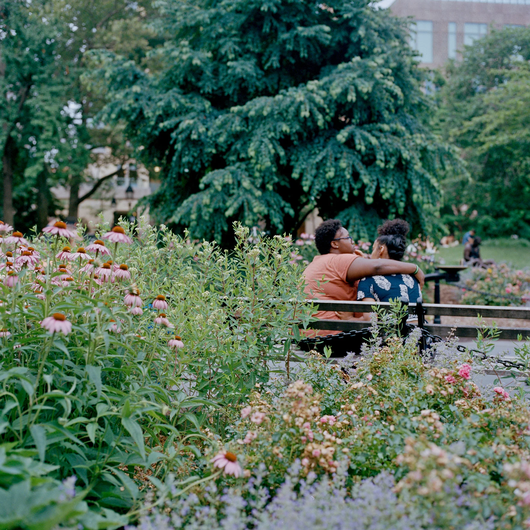 65.jpg