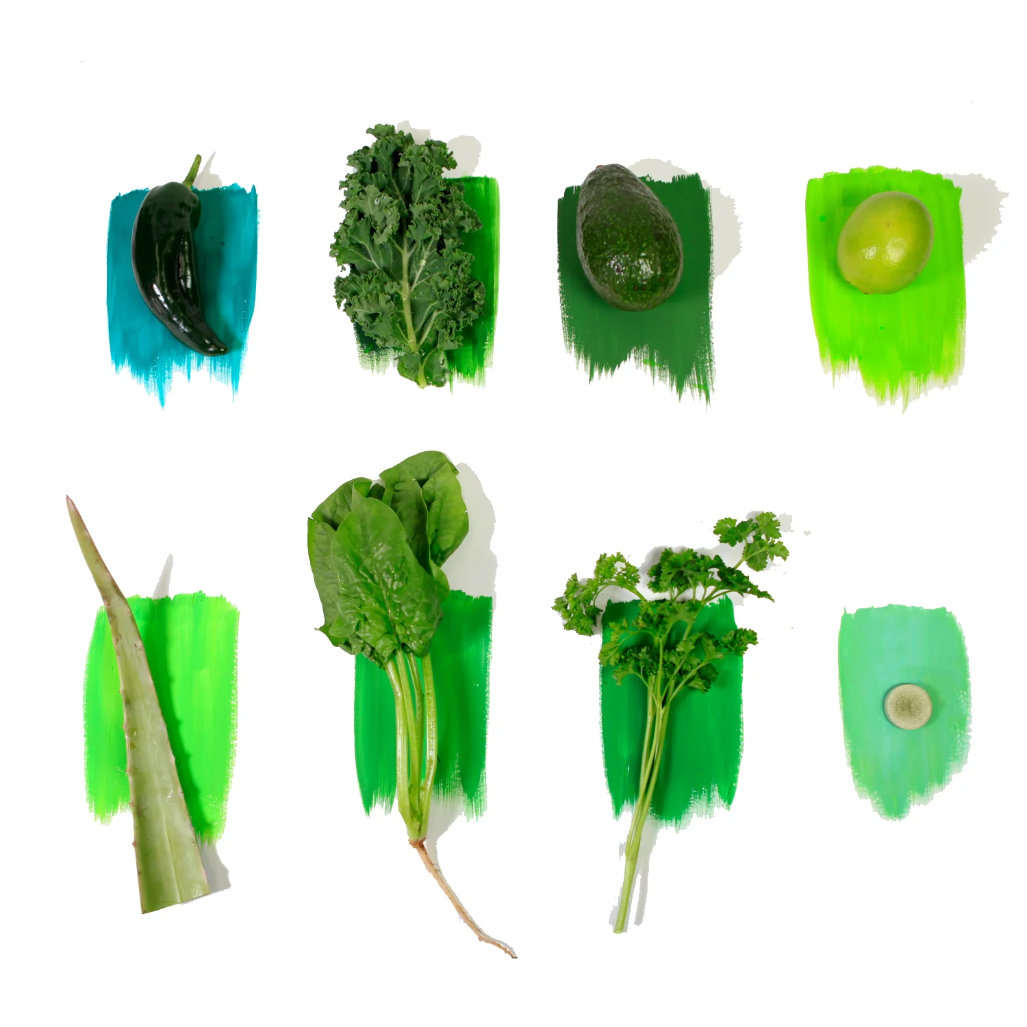 color+match1.jpg