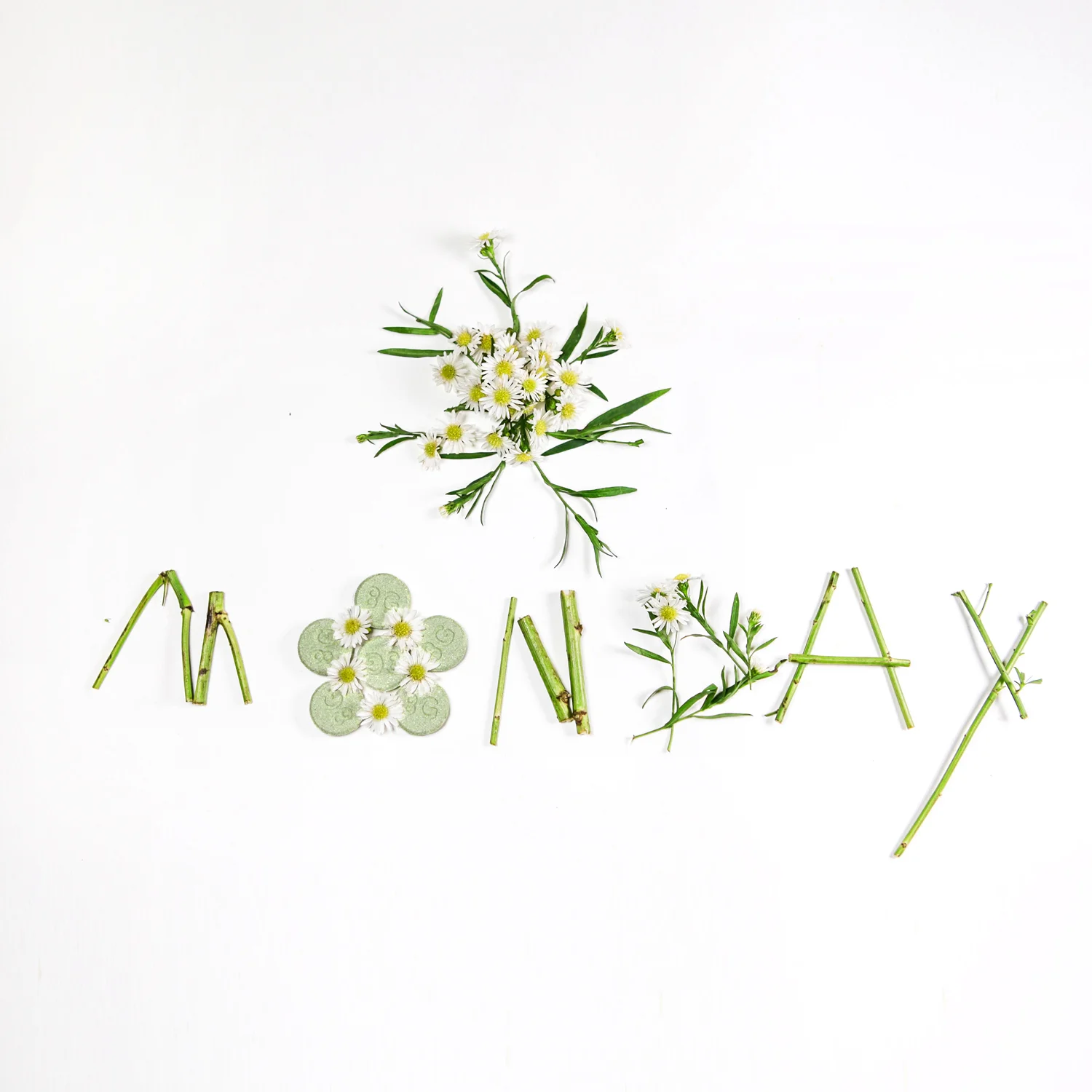 flower+Monday_3.jpg