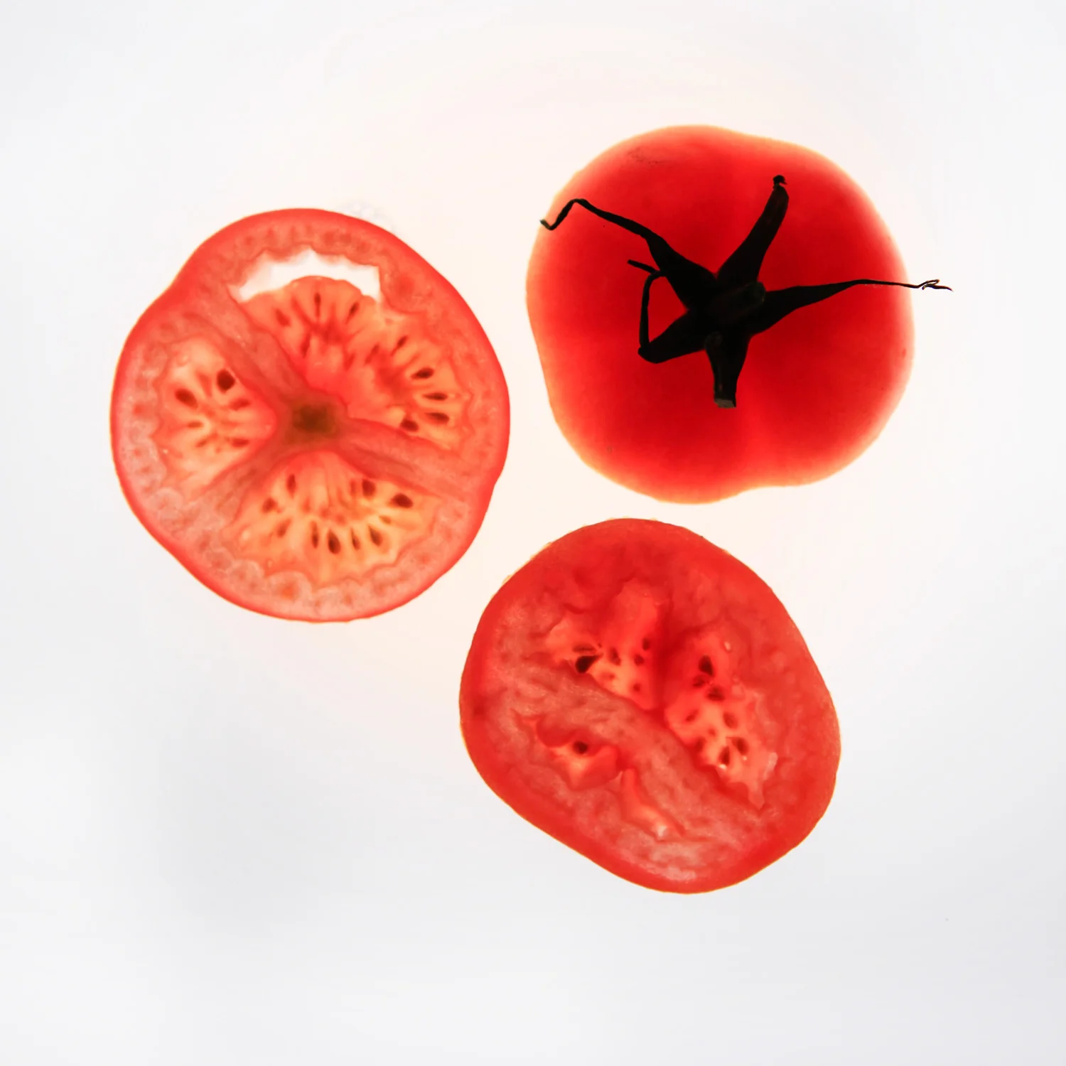 tomato_3.jpg