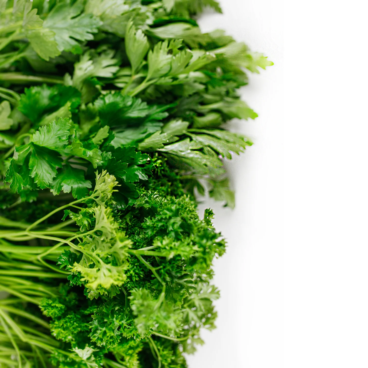 veges_2.jpg