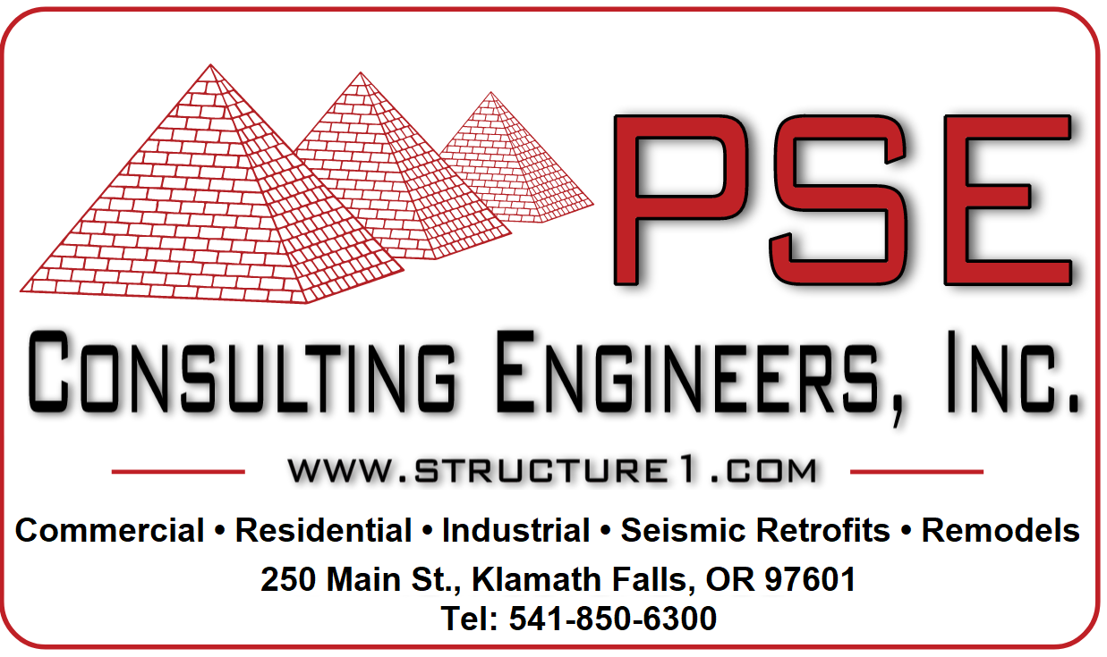 PSE LOGO NEW.png