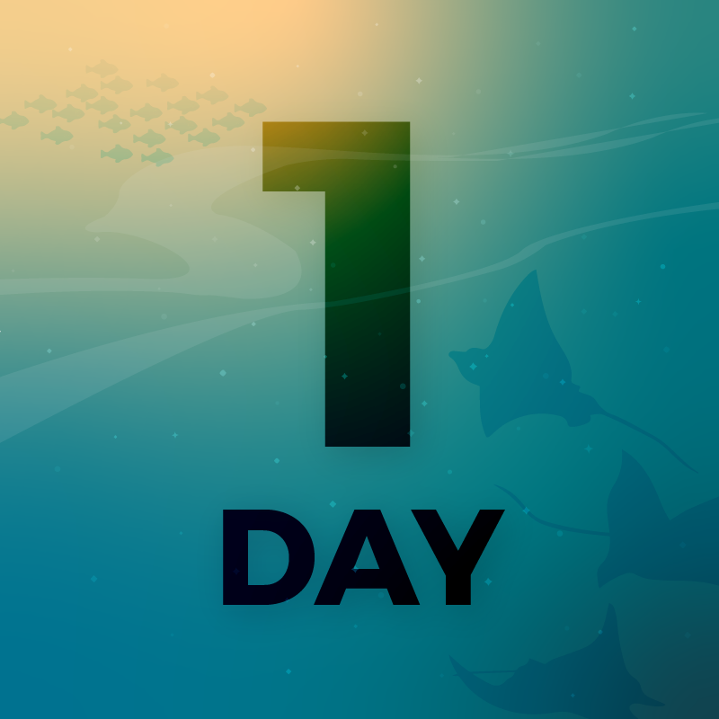 Countdown-02.png