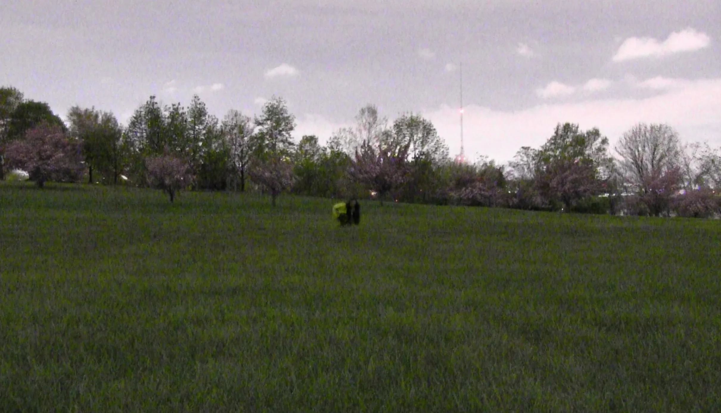 屏幕快照 2017-03-10 下午8.29.29.jpg