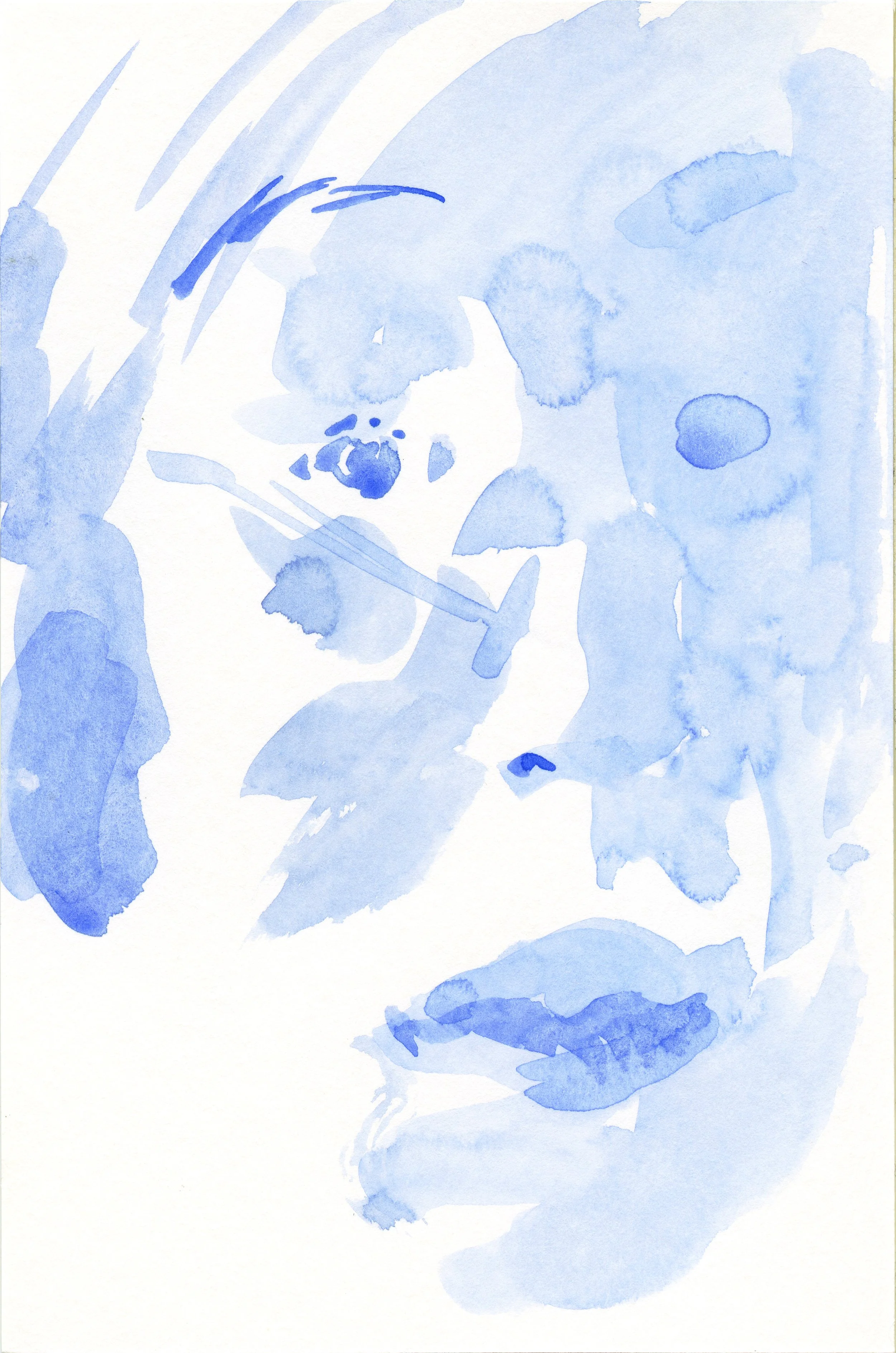 2025-03-20.jpg