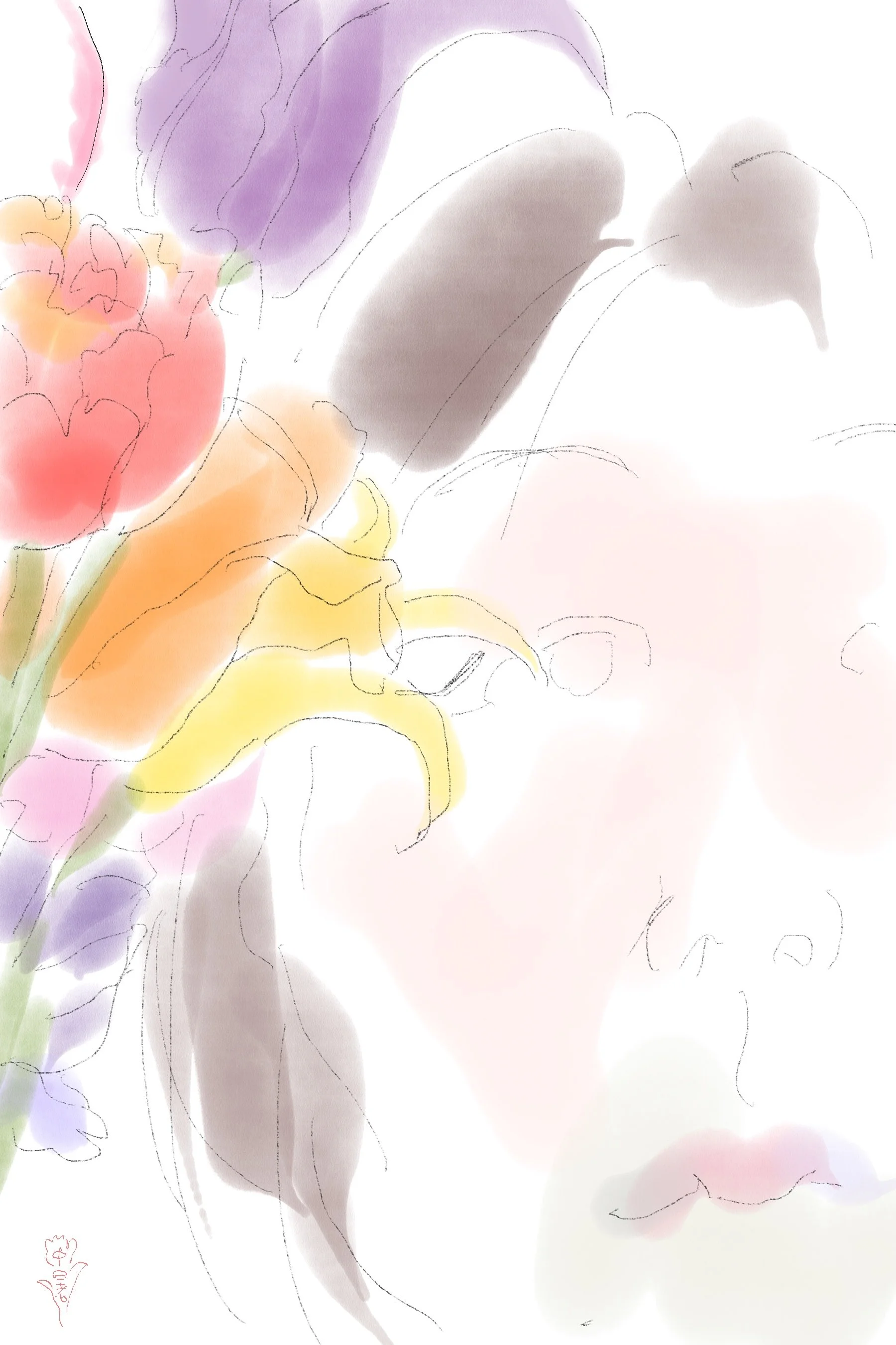 IMG_0223.jpeg