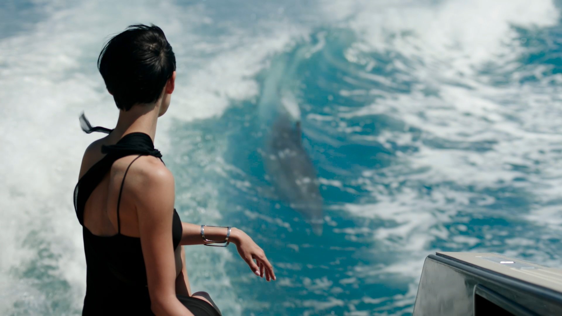 Dolphin+1.jpeg
