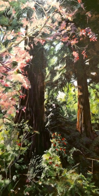 Sunlight Through The Fir Trees (SOLD)
