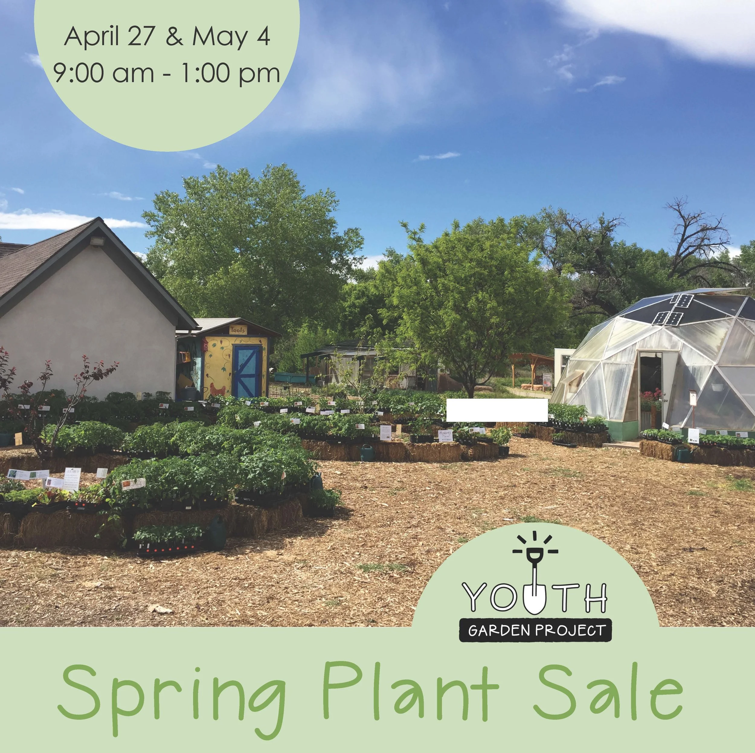 plant sale.jpg