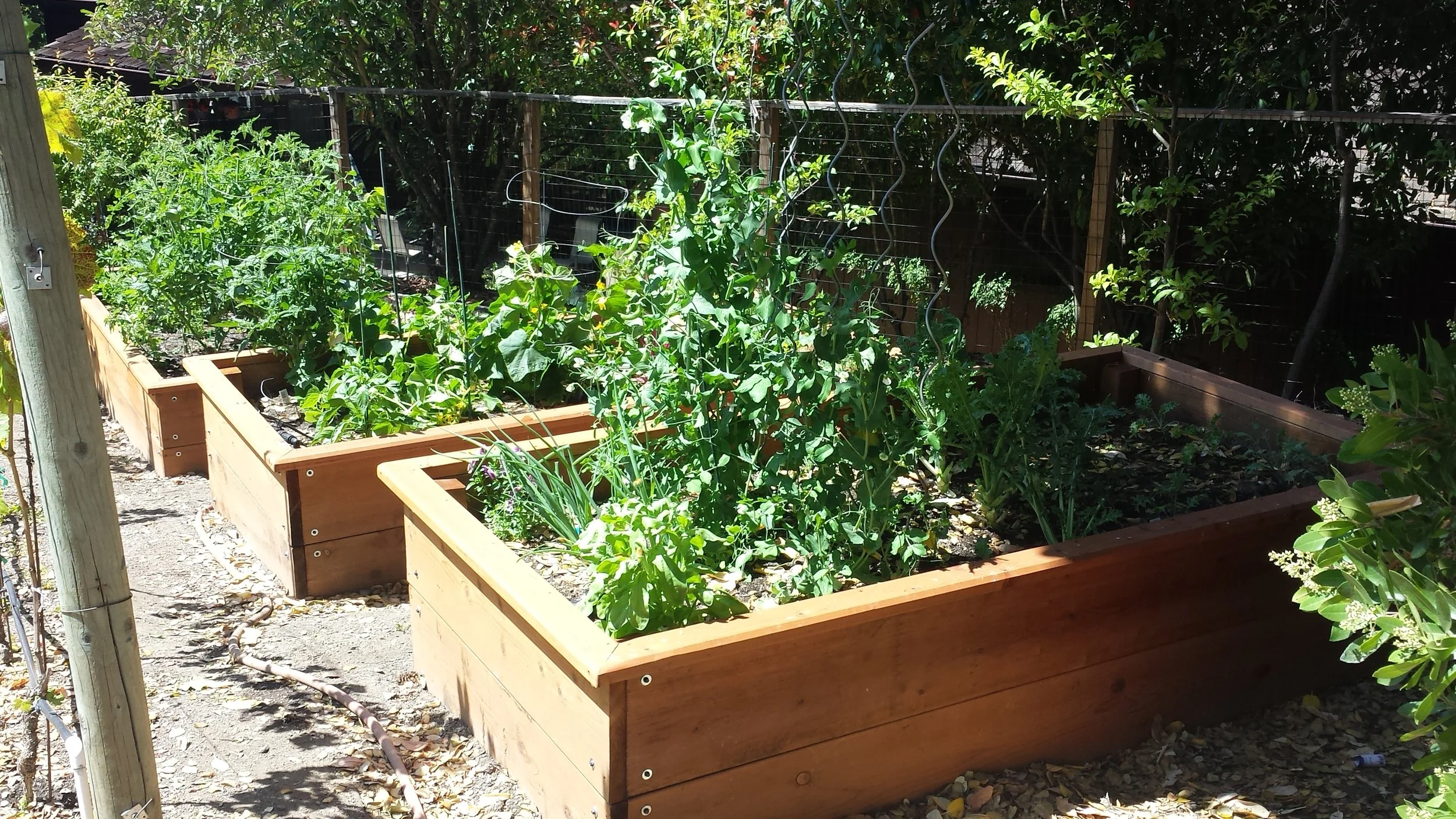 20150604_145958.jpg