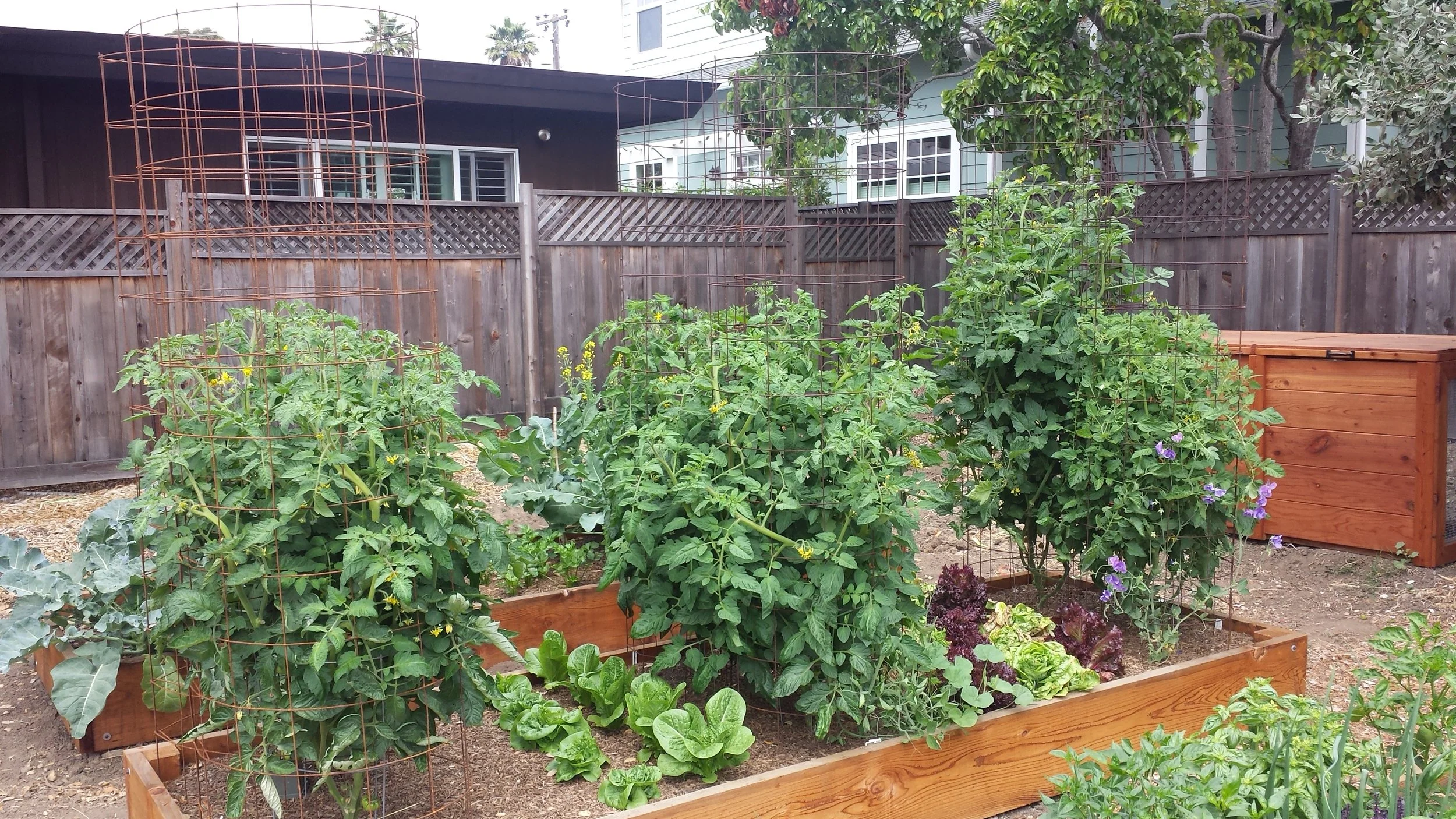 20150708_101019.jpg