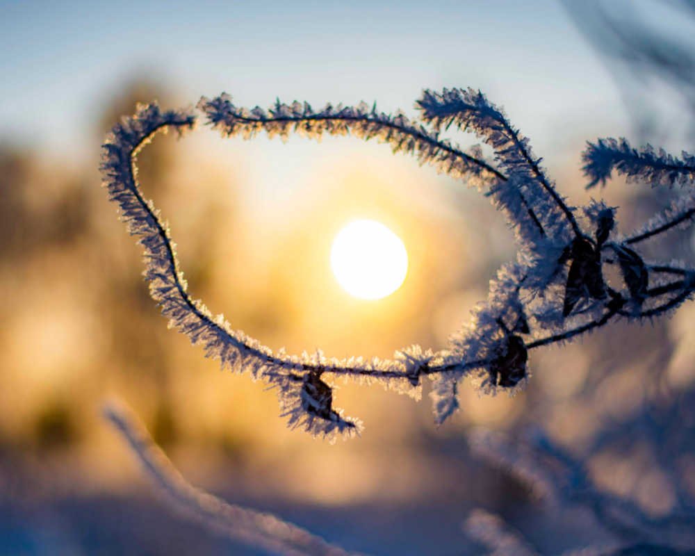 January - Mother Nature looks at us