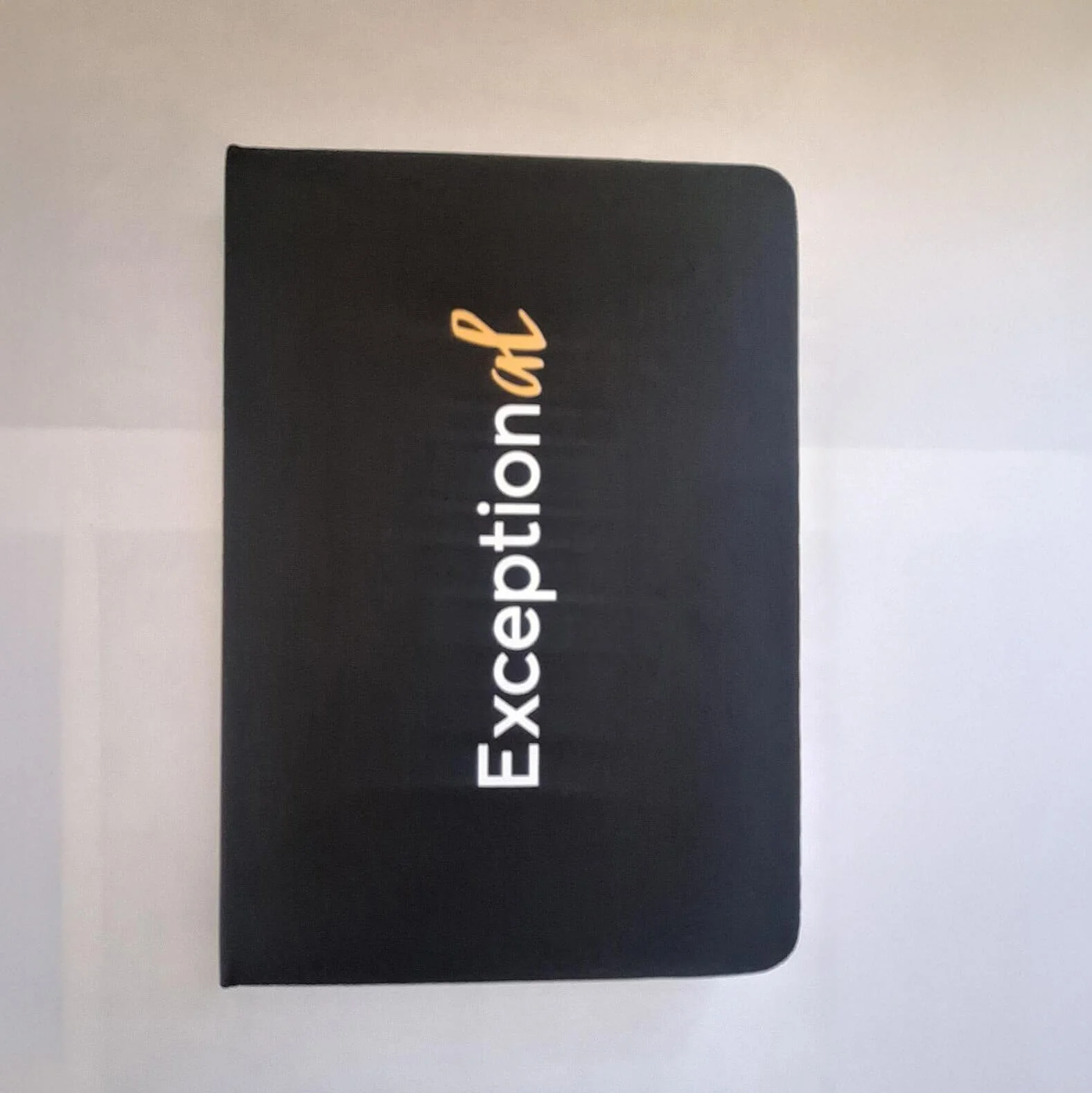 ExceptionAL Journal.jpg