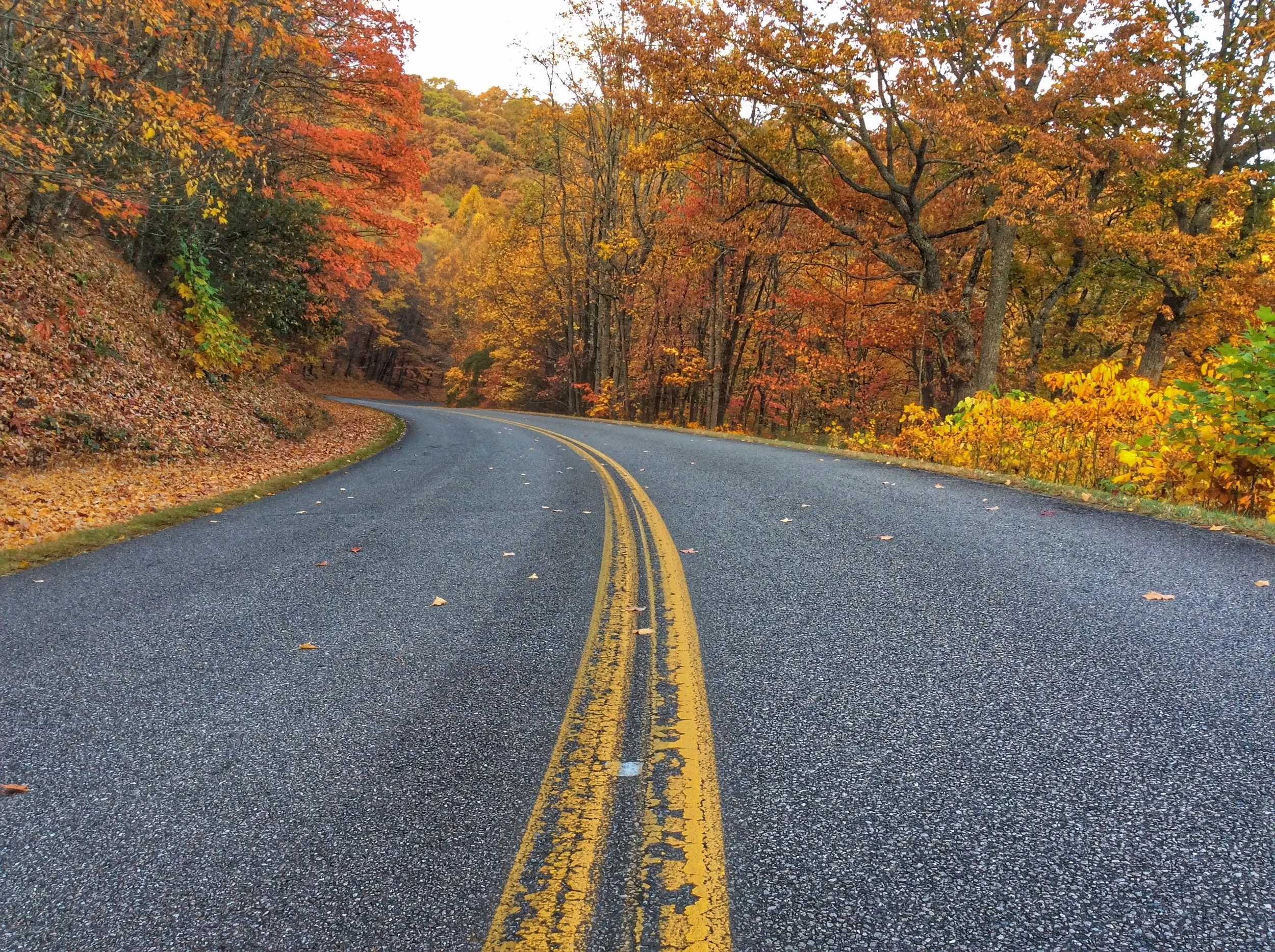 FullSizeRender 12 copy.jpg