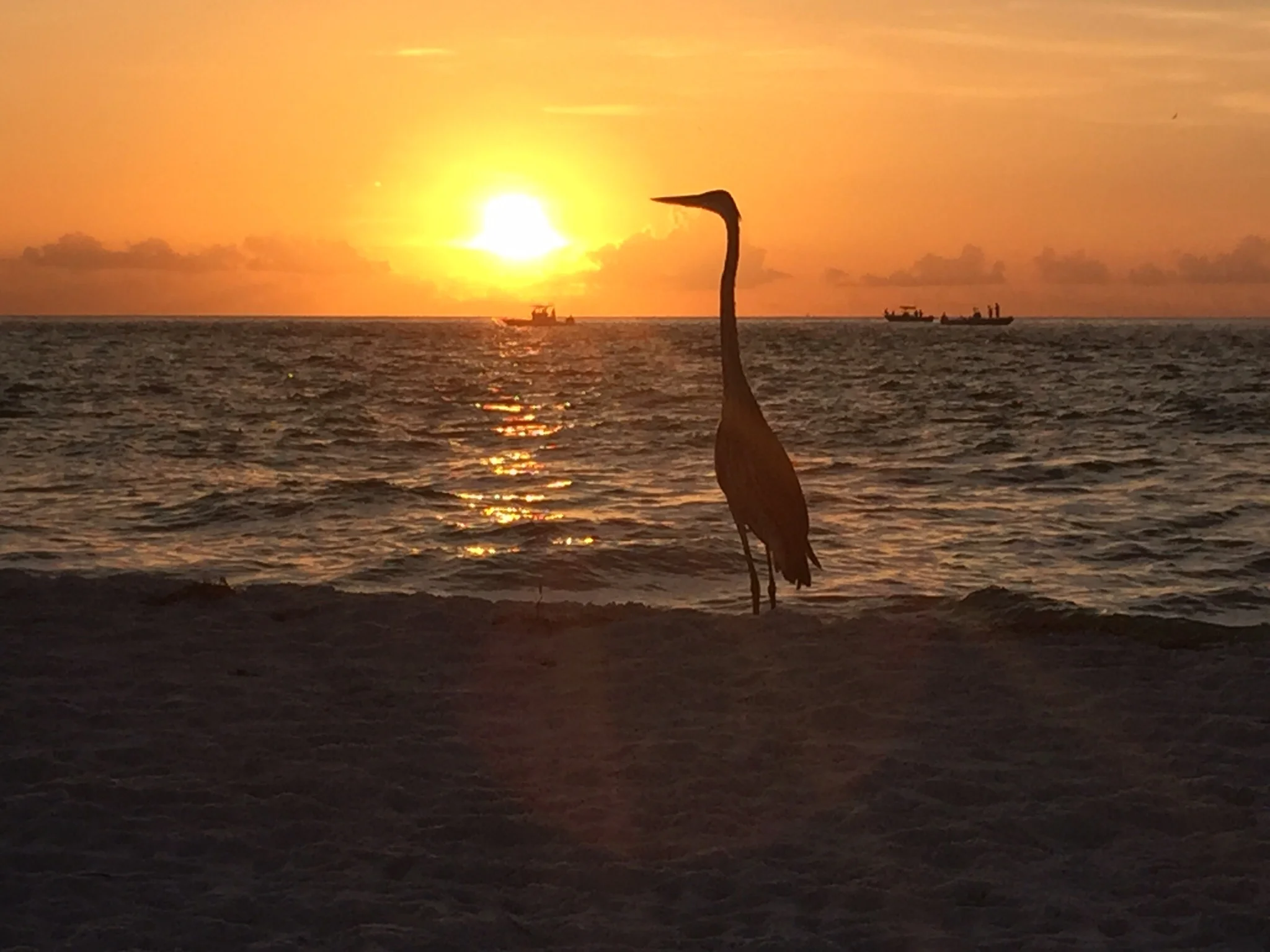 FullSizeRender 18.jpg