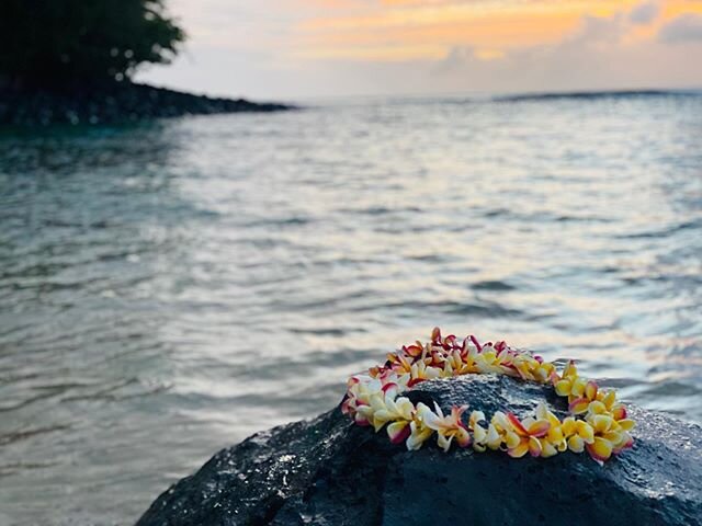 Hauʻoli lā makuakāne 🧡 #summersolstice 🙏🏽 #hauolilāmakuakāne #kēʻē #petesplumerias #leiolasleis