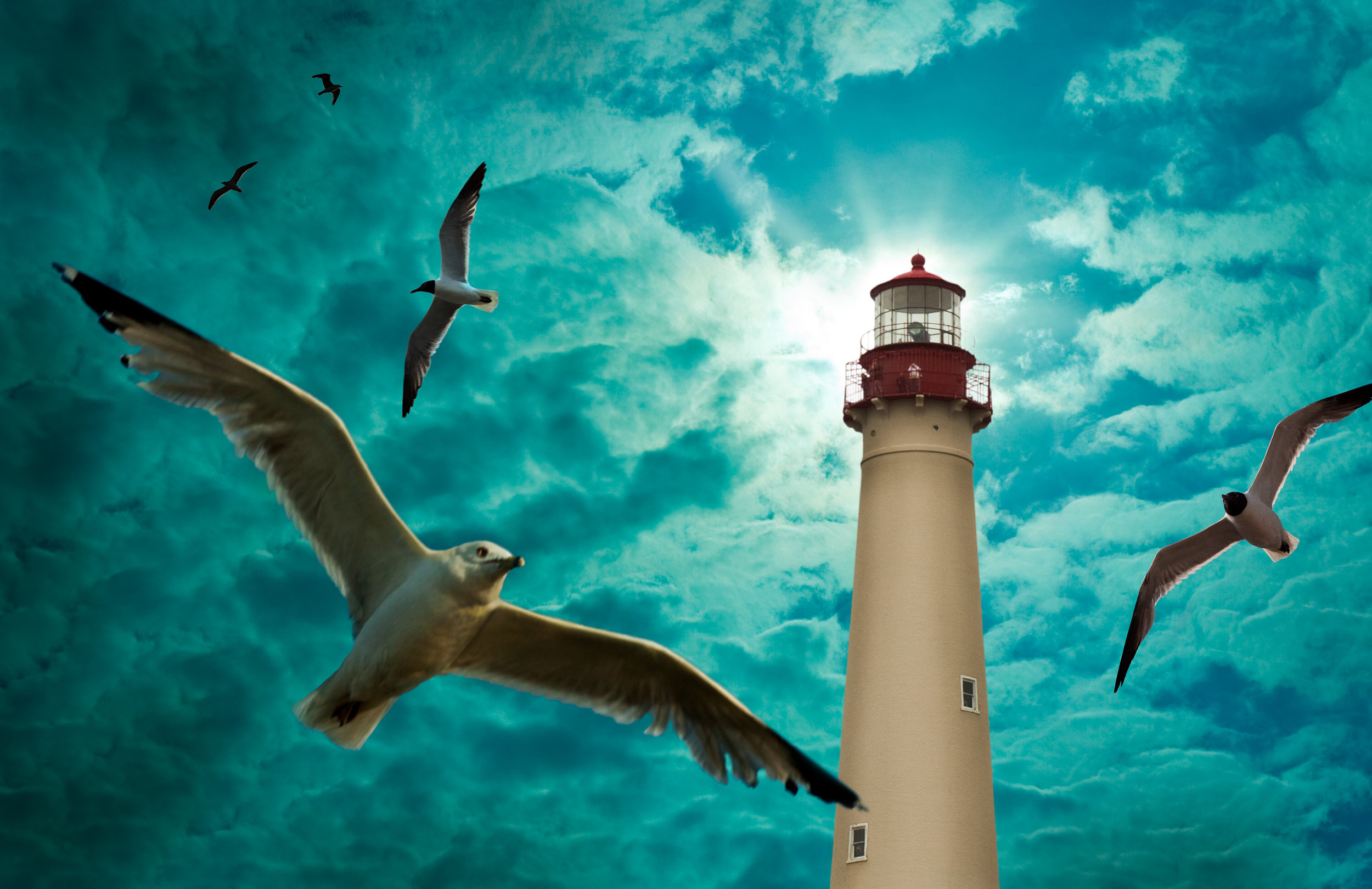 Lighthouse_Birds.jpg