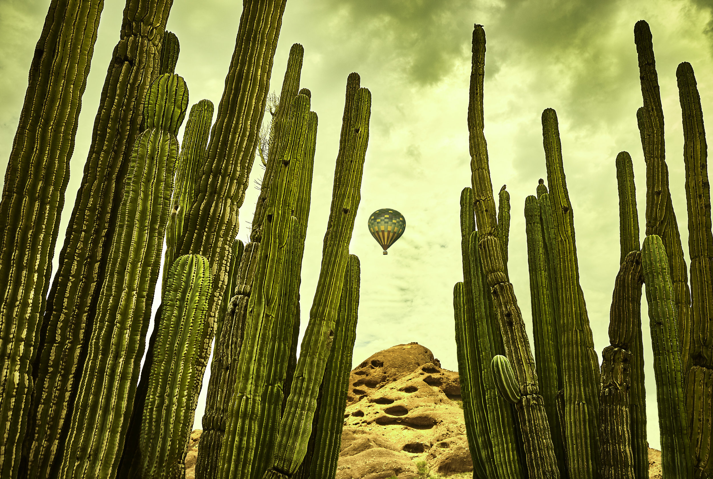 Catus_Hot Air Ballon_2_4496.jpg