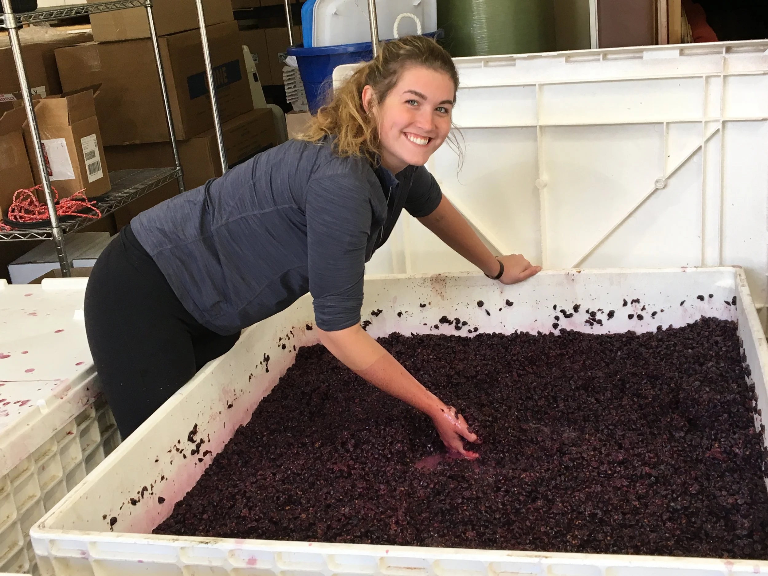Winemaker's Master Class