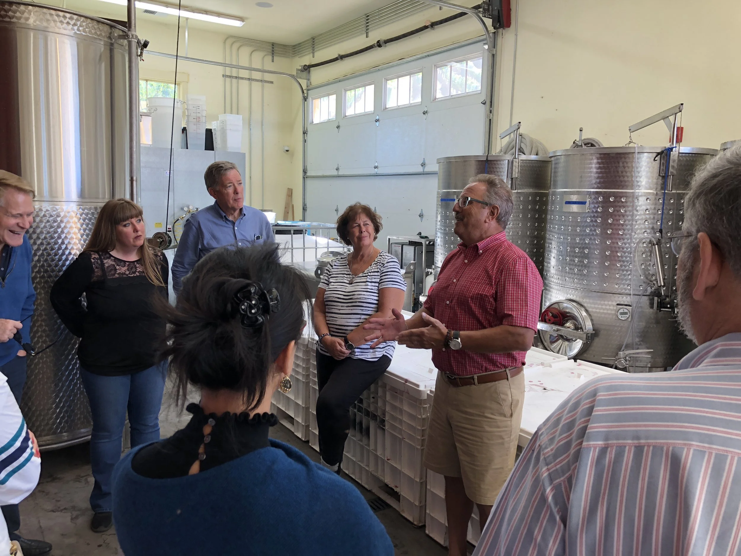 Tasting Tours During Fall Harvest and Crush