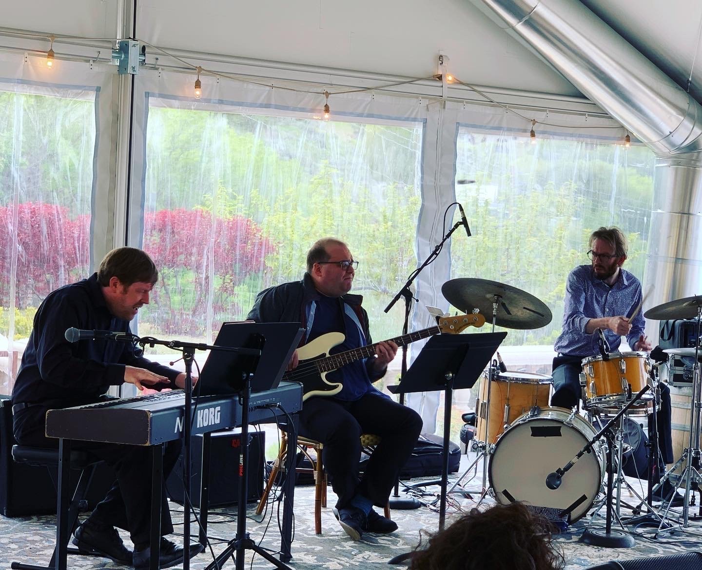 Siren Song Summer Concert Series Featuring an Evening with Collin Provence