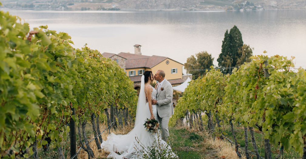 COUPLE IN VINEYARD.png