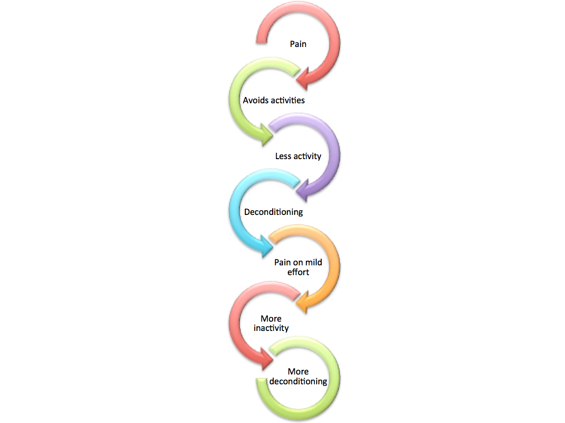This is what the deconditioning cycle looks like.