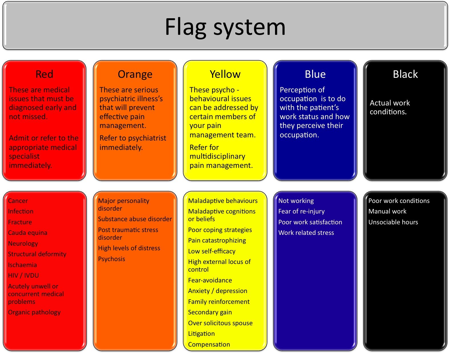 Figure 1. The flag system in evaluating chronic pain