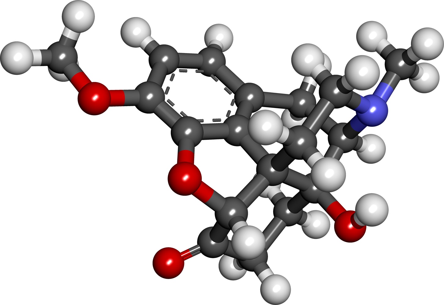 Figure 3. The oxycodone molecule