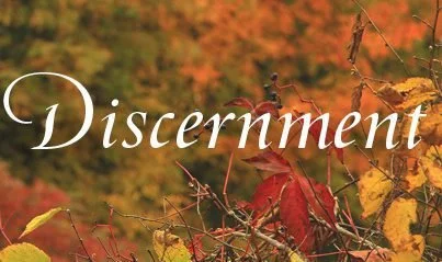 Vicar's Letter  re Season of Discernment – 8 December 2022